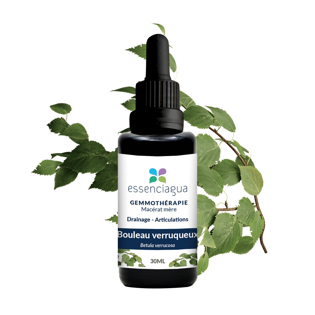 Bio Warzenbirke Knospenmazerat 100% Bio und Handgemacht