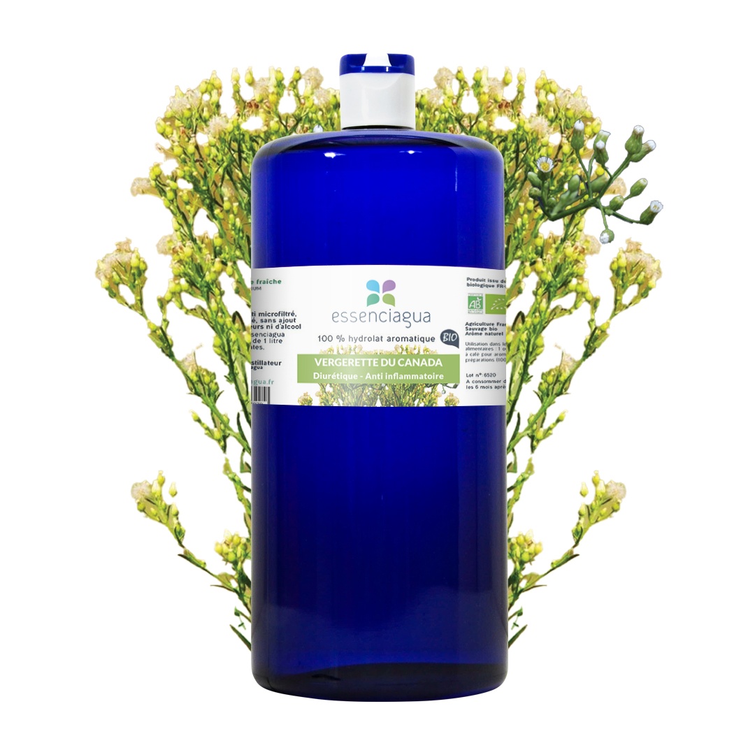 Hydrolat aus kanadischer Eberraute 100% biologisch und handwerklich hergestellt — photo 3
