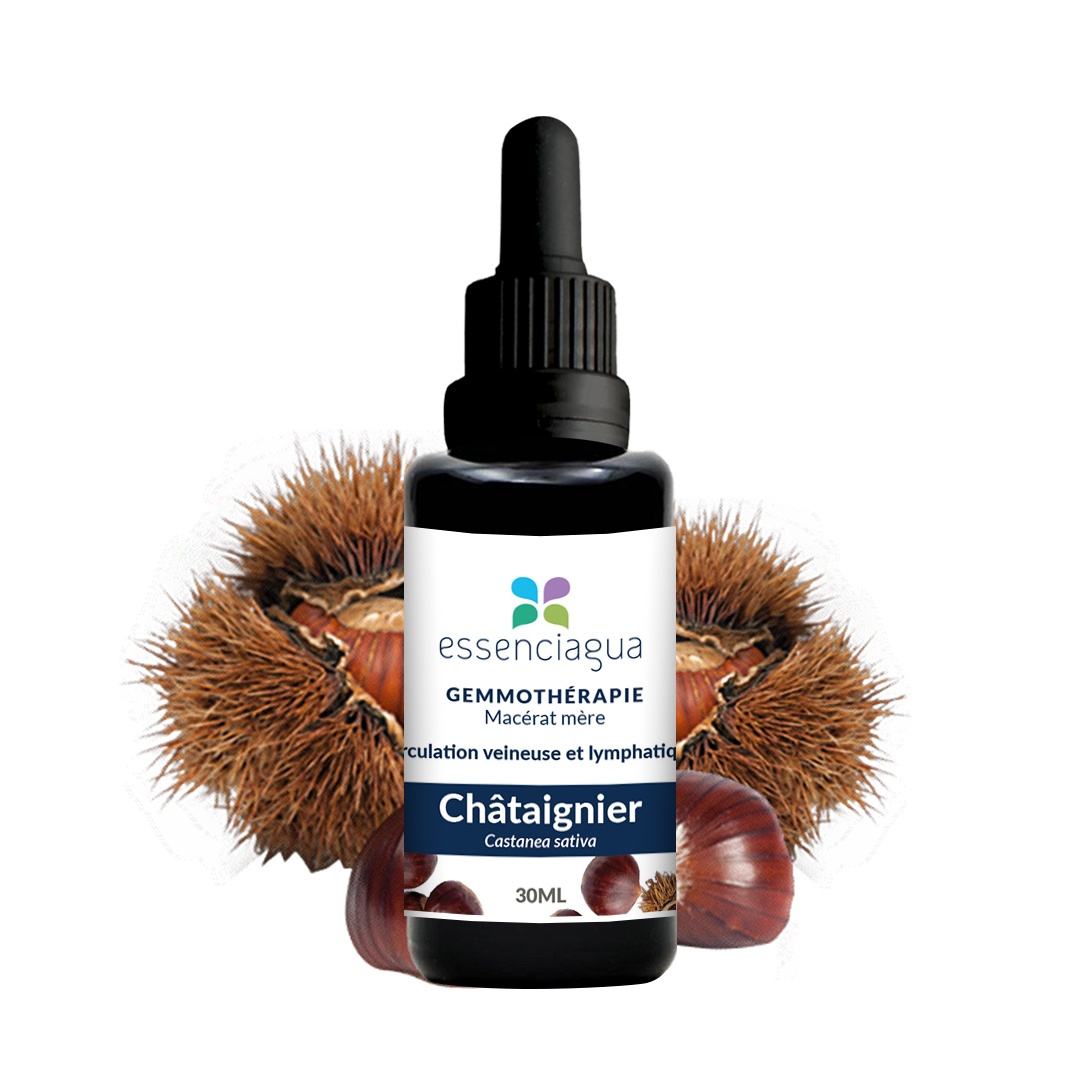 Bio Kastanienbaum Knospenmazerat 100% Bio und Handgemacht