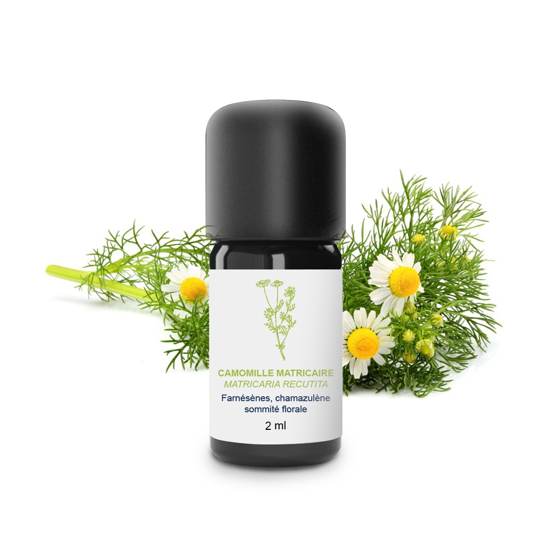 Ätherisches Öl aus Kamille Matricaire 100% Bio und handwerklich hergestellt