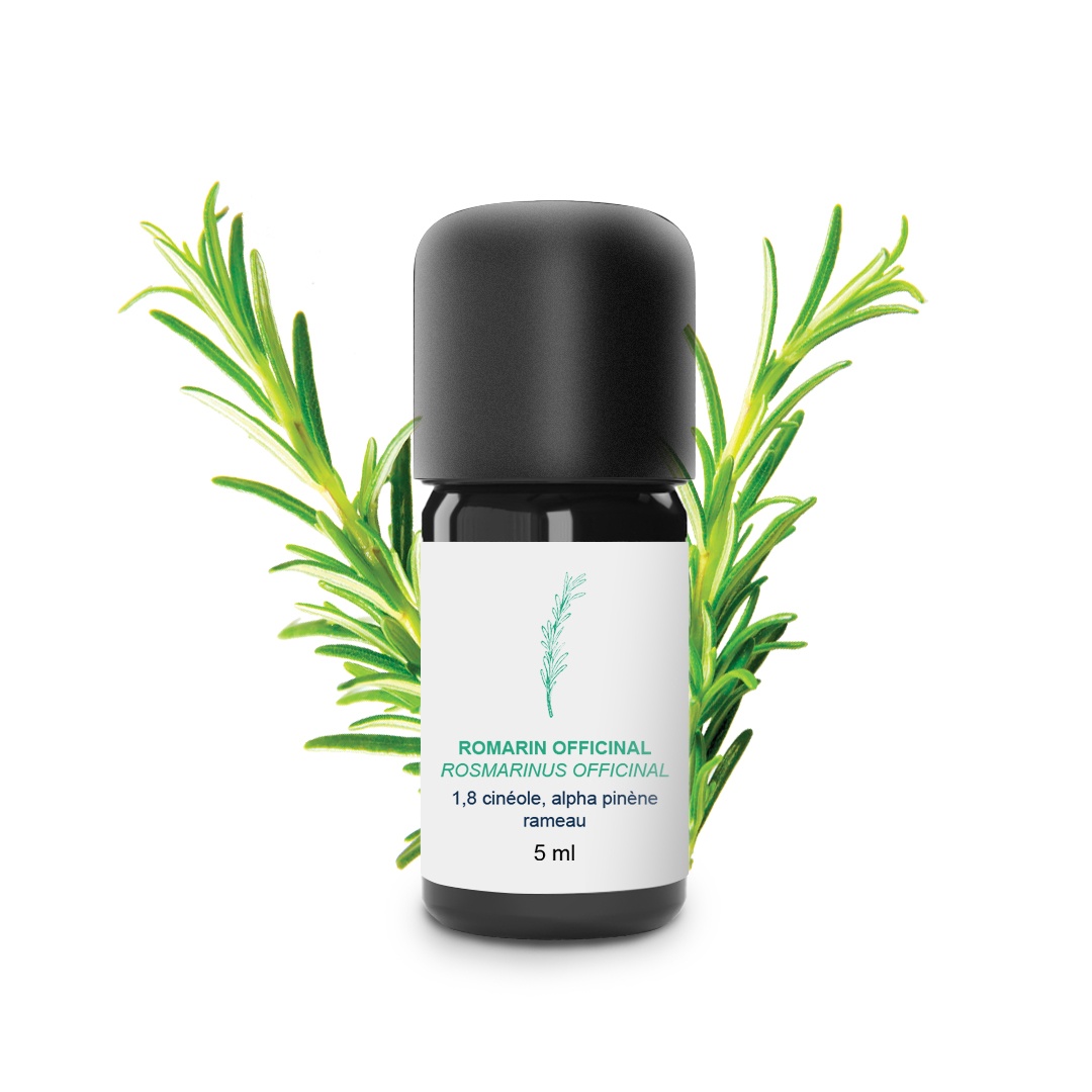 Ätherisches Öl aus Rosmarin Officinal 100% Bio und handwerklich hergestellt