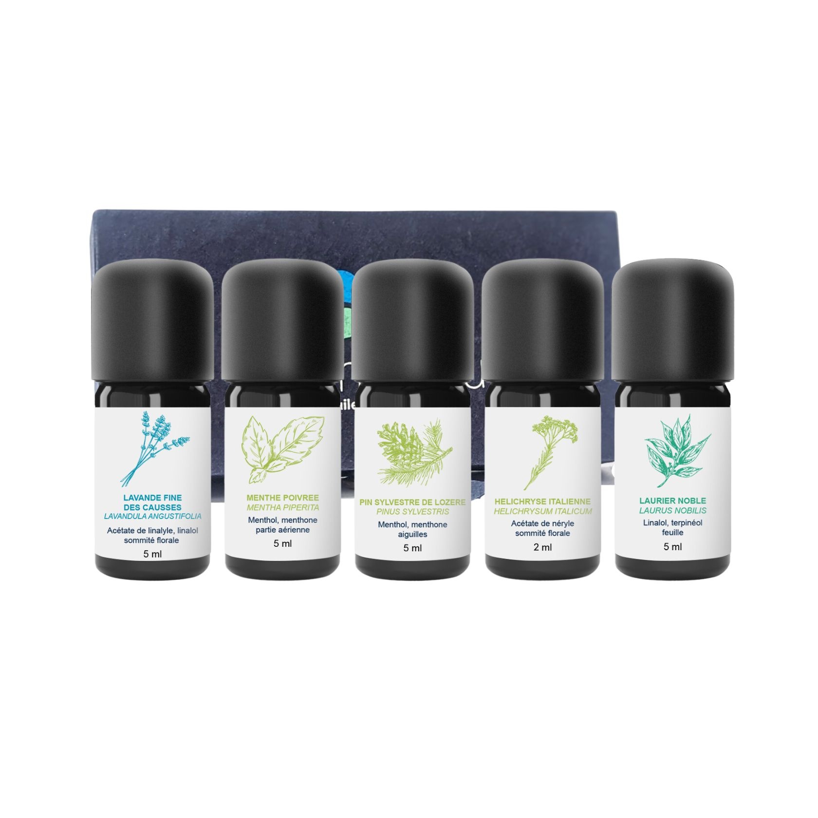 Kit Unverzichtbare ätherische Öle 100% Bio und handwerklich hergestellt