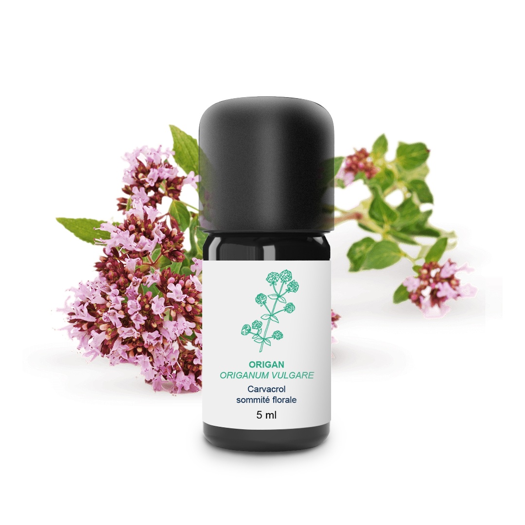 Ätherisches Oregano-Öl 100% Bio und handwerklich hergestellt