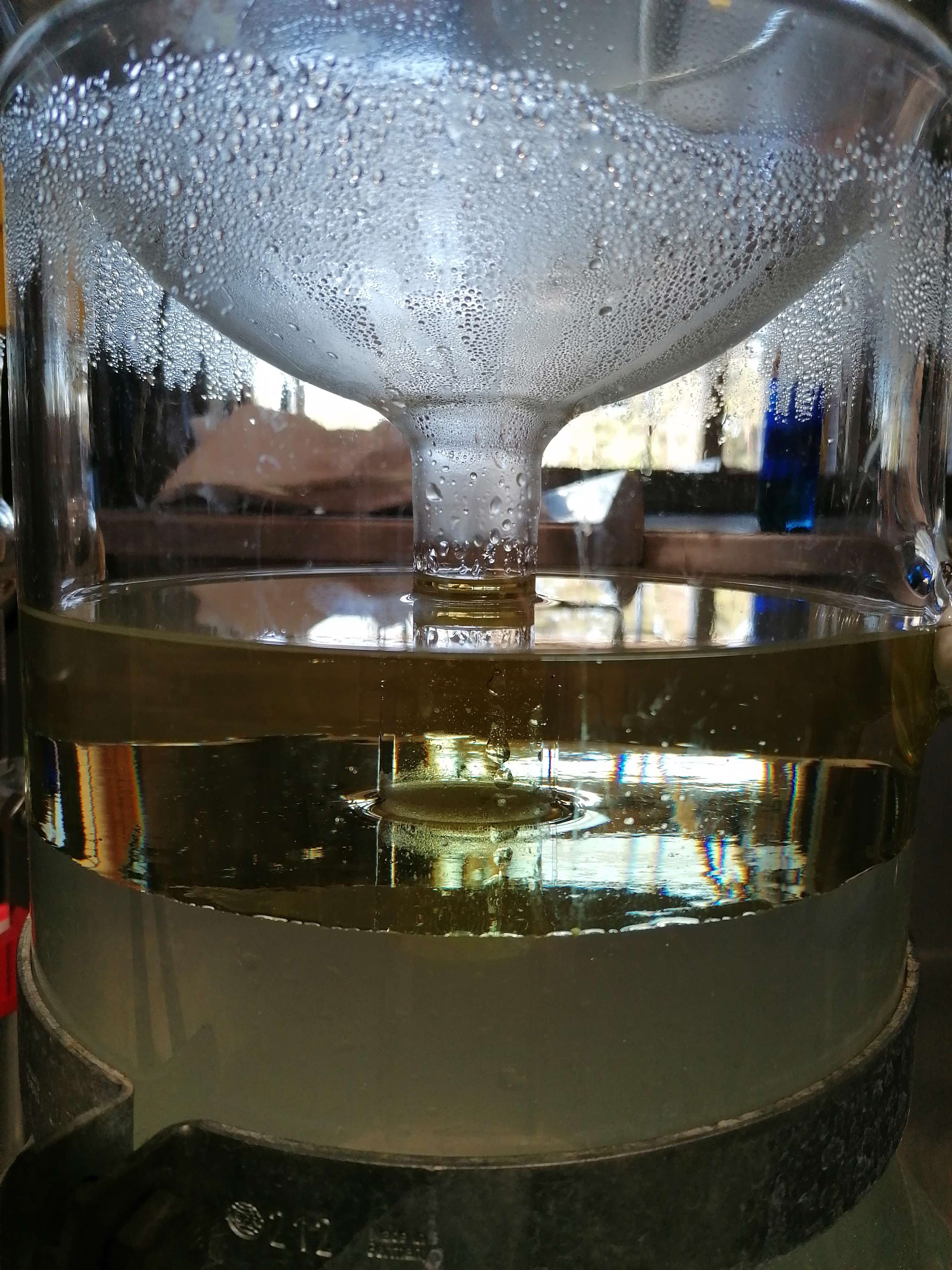 Die Destillation von Pfefferminze