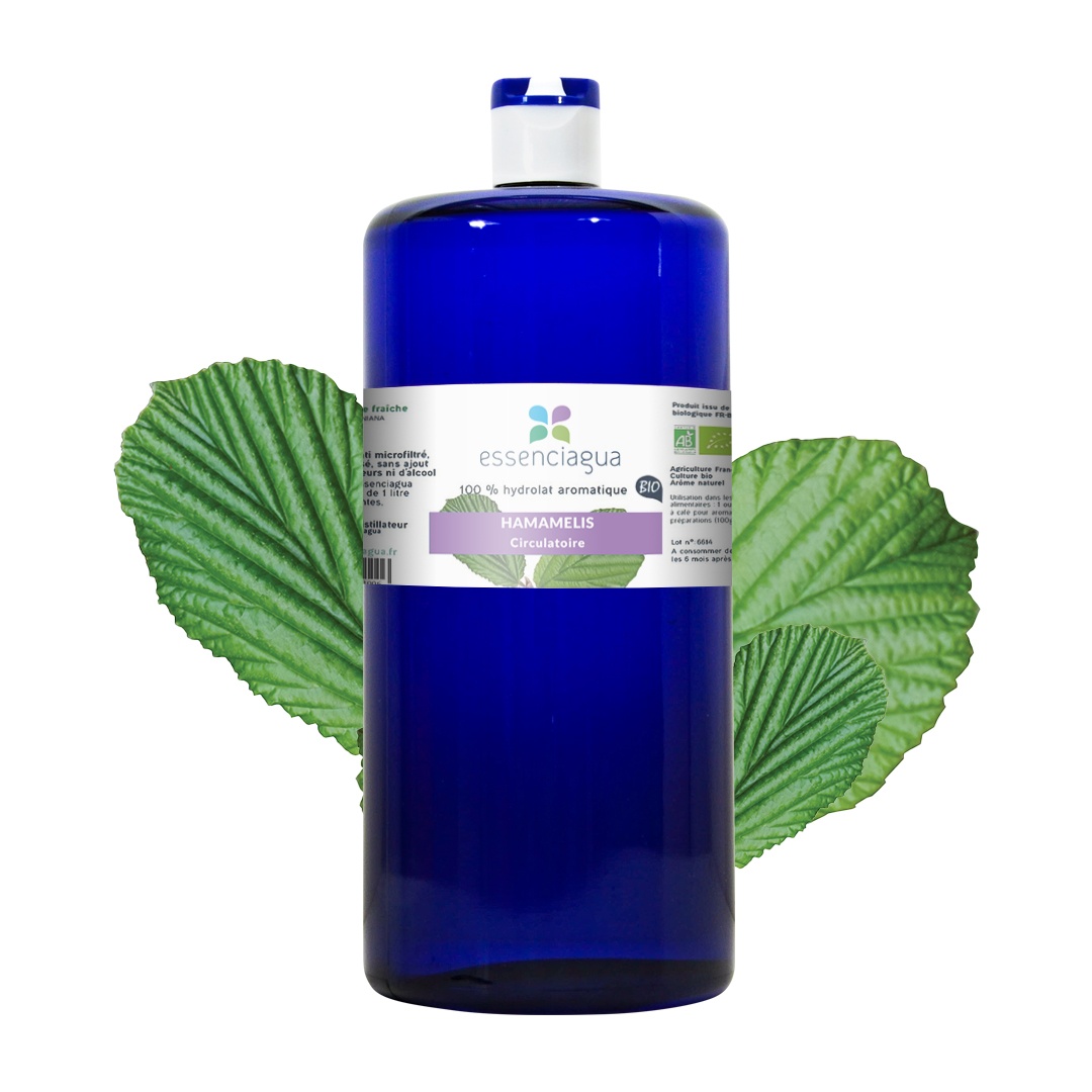 Hamamelis-Hydrolat 100% Bio und handwerklich hergestellt — photo 3