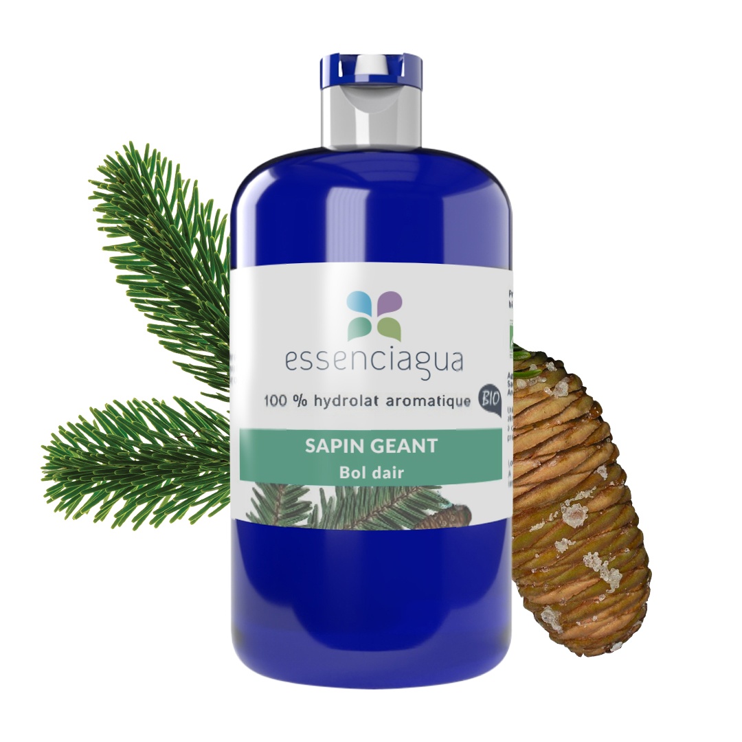 Hydrolat der Riesentanne 100% Bio und handwerklich hergestellt