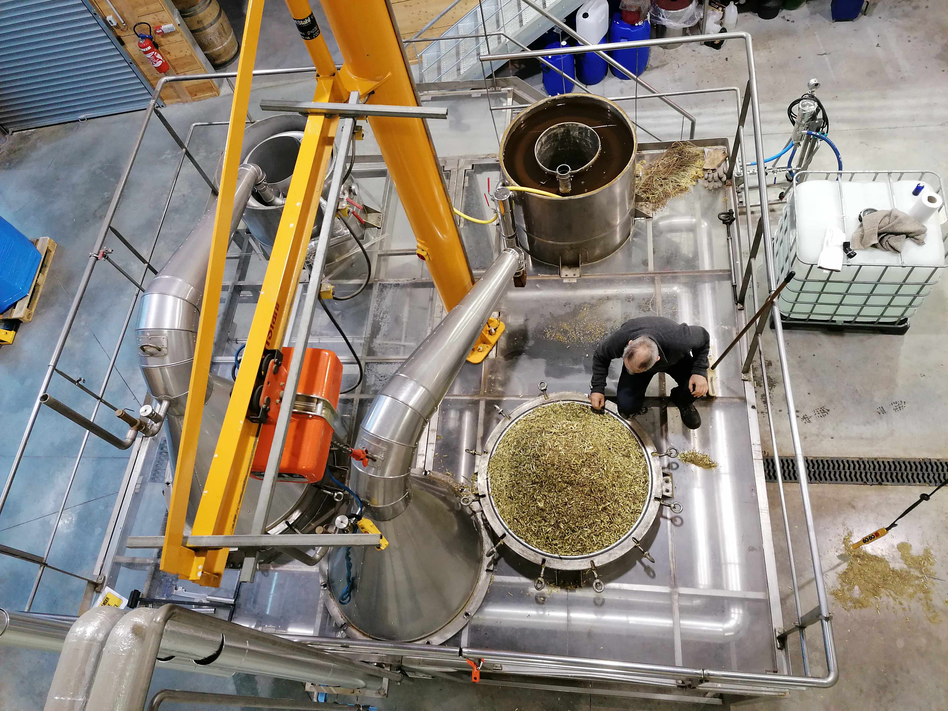 Decouvrez la distillation Ätherisches Öl aus Schwarzer Johannisbeere aus Burgund 100% Bio und handwerklich hergestellt