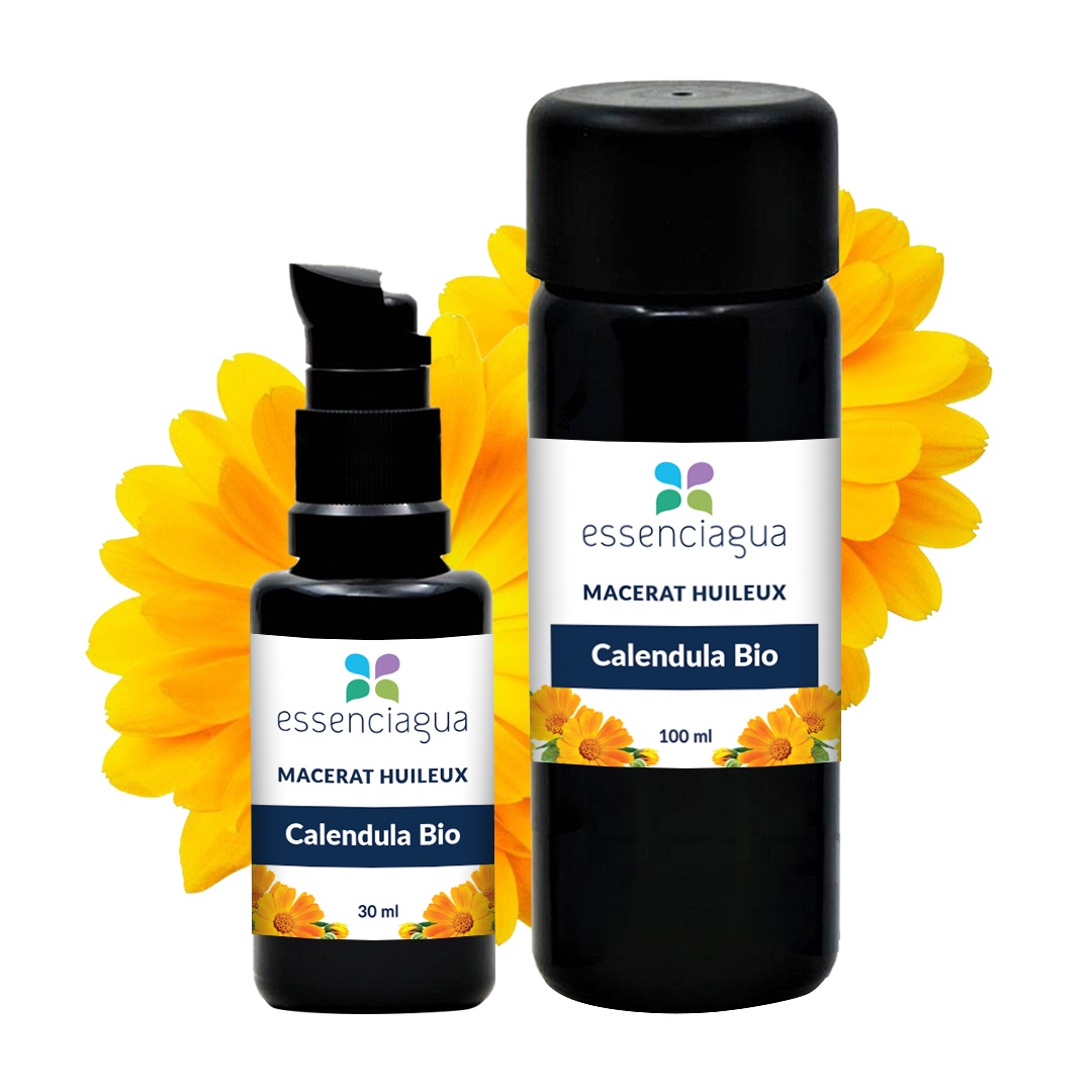 Calendula-Mazerat