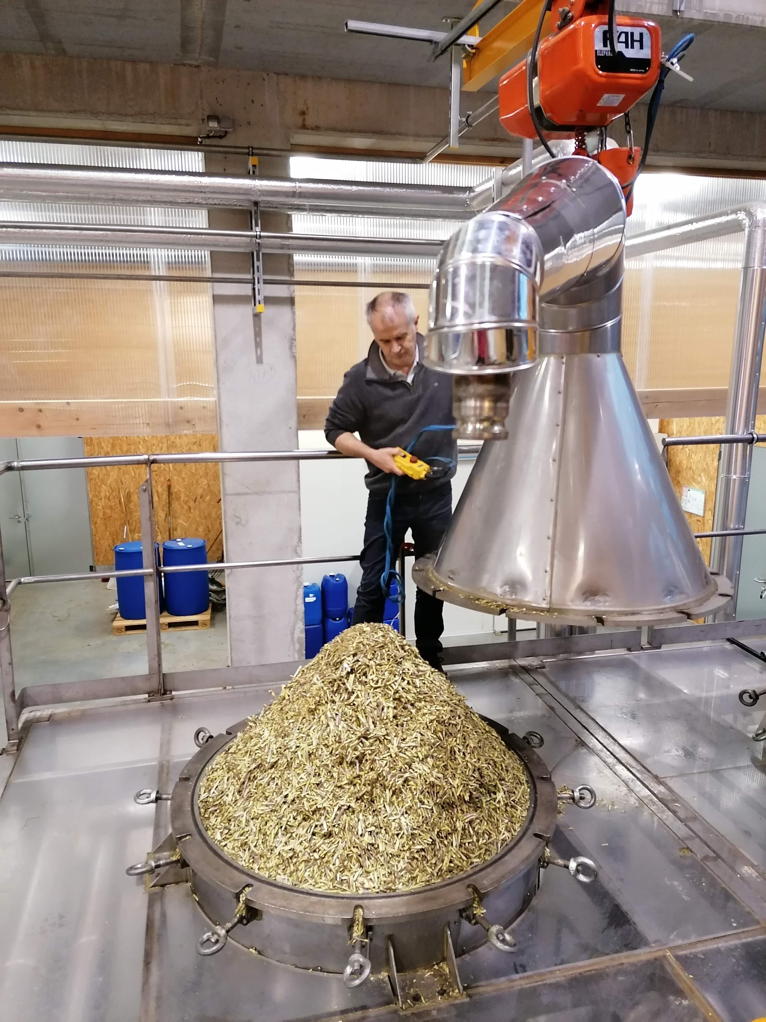 Decouvrez la distillation Ätherisches Öl aus Schwarzer Johannisbeere aus Burgund 100% Bio und handwerklich hergestellt