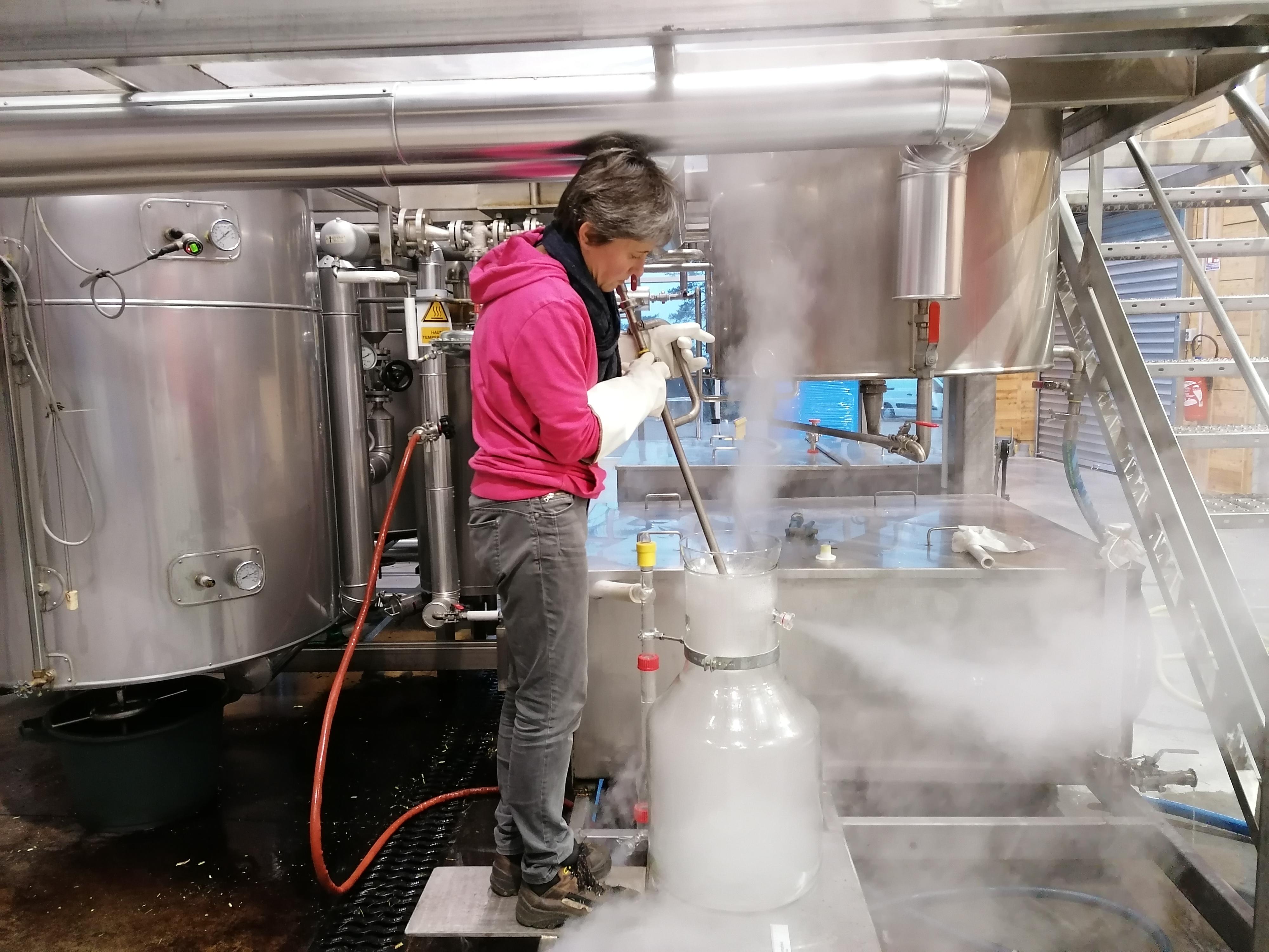 Decouvrez la distillation Ätherisches Öl aus Schwarzer Johannisbeere aus Burgund 100% Bio und handwerklich hergestellt
