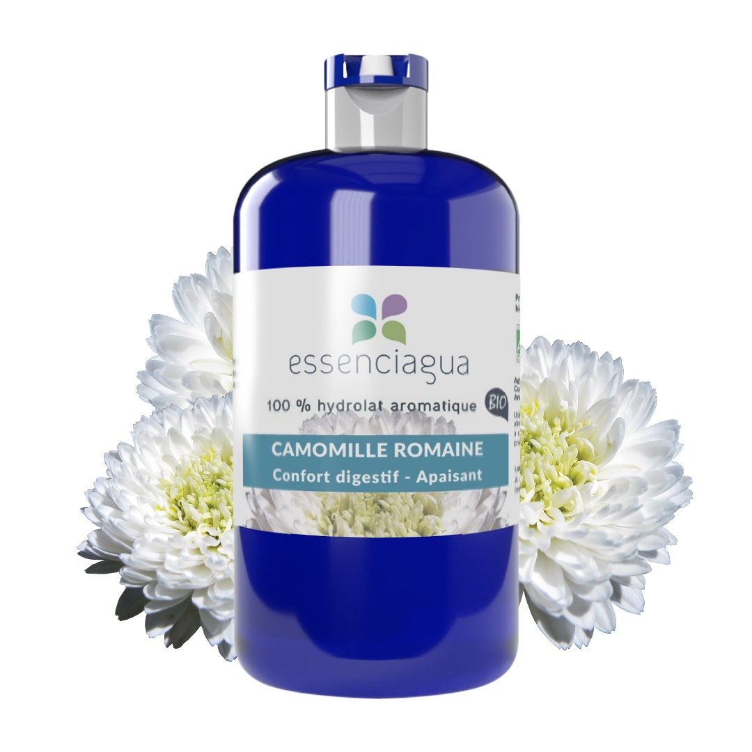 Hydrolat der römischen Kamille 100% Bio und handwerklich hergestellt