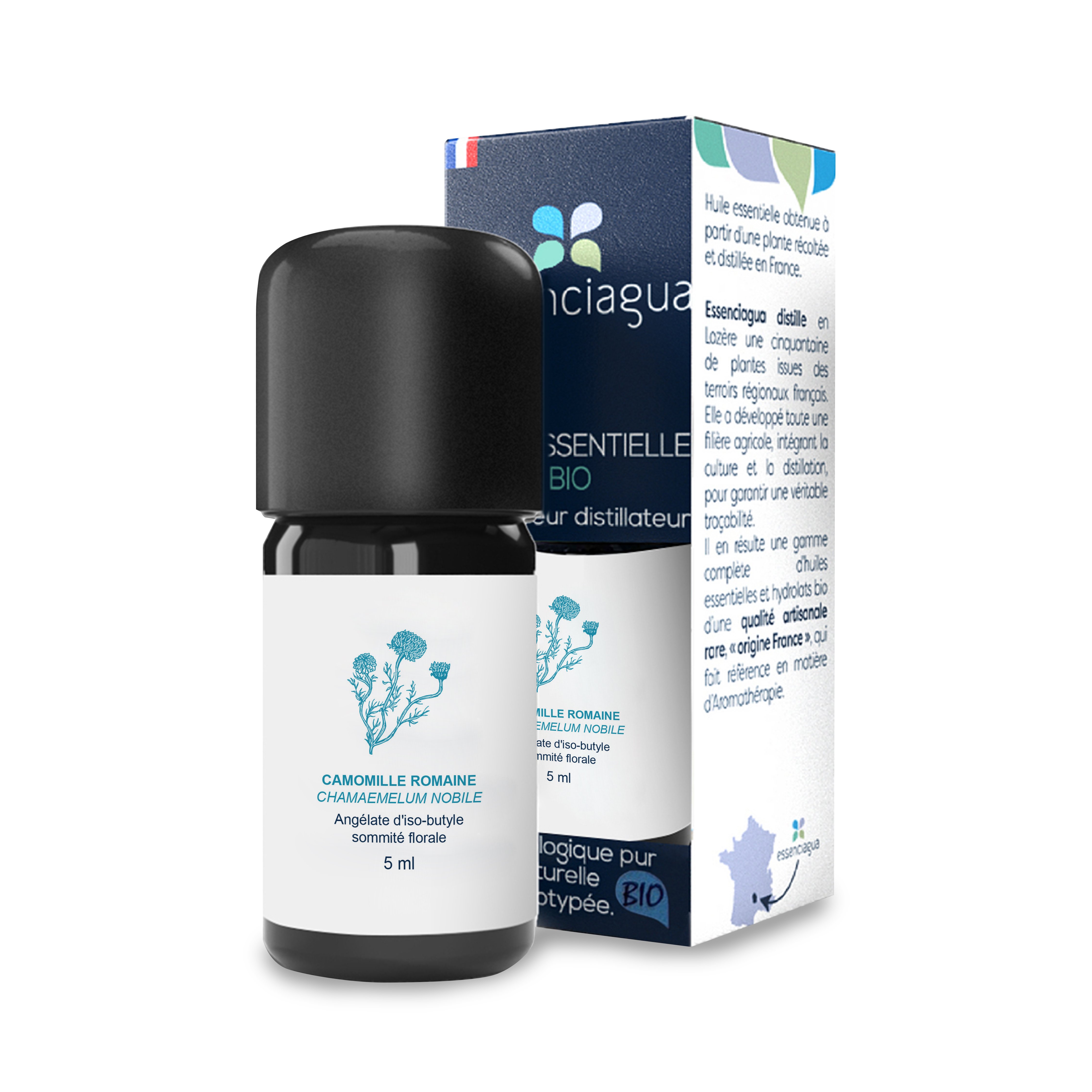 Ätherisches Öl aus Römischer Kamille 100% Bio und handwerklich hergestellt — photo 3