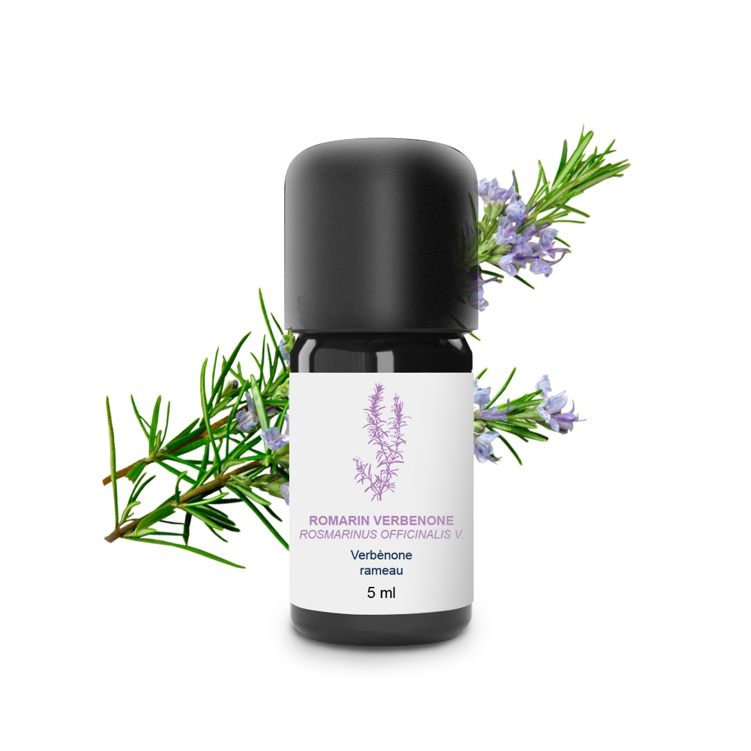 Ätherisches Öl aus Rosmarin Verbenone 100% Bio und handwerklich hergestellt