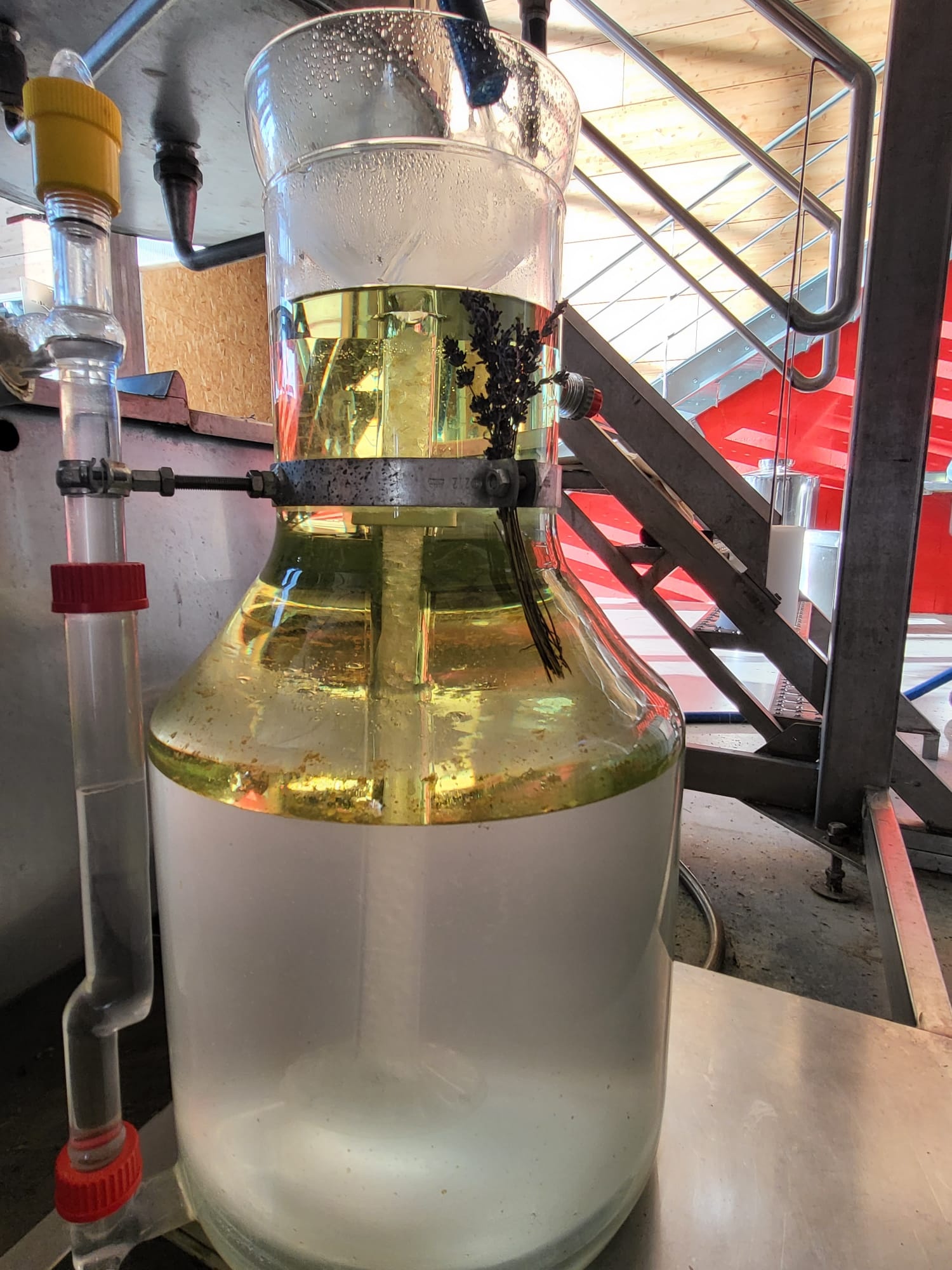 Decouvrez la distillation Ätherisches Lavendelöl aus Aspik 100% Bio und handwerklich hergestellt