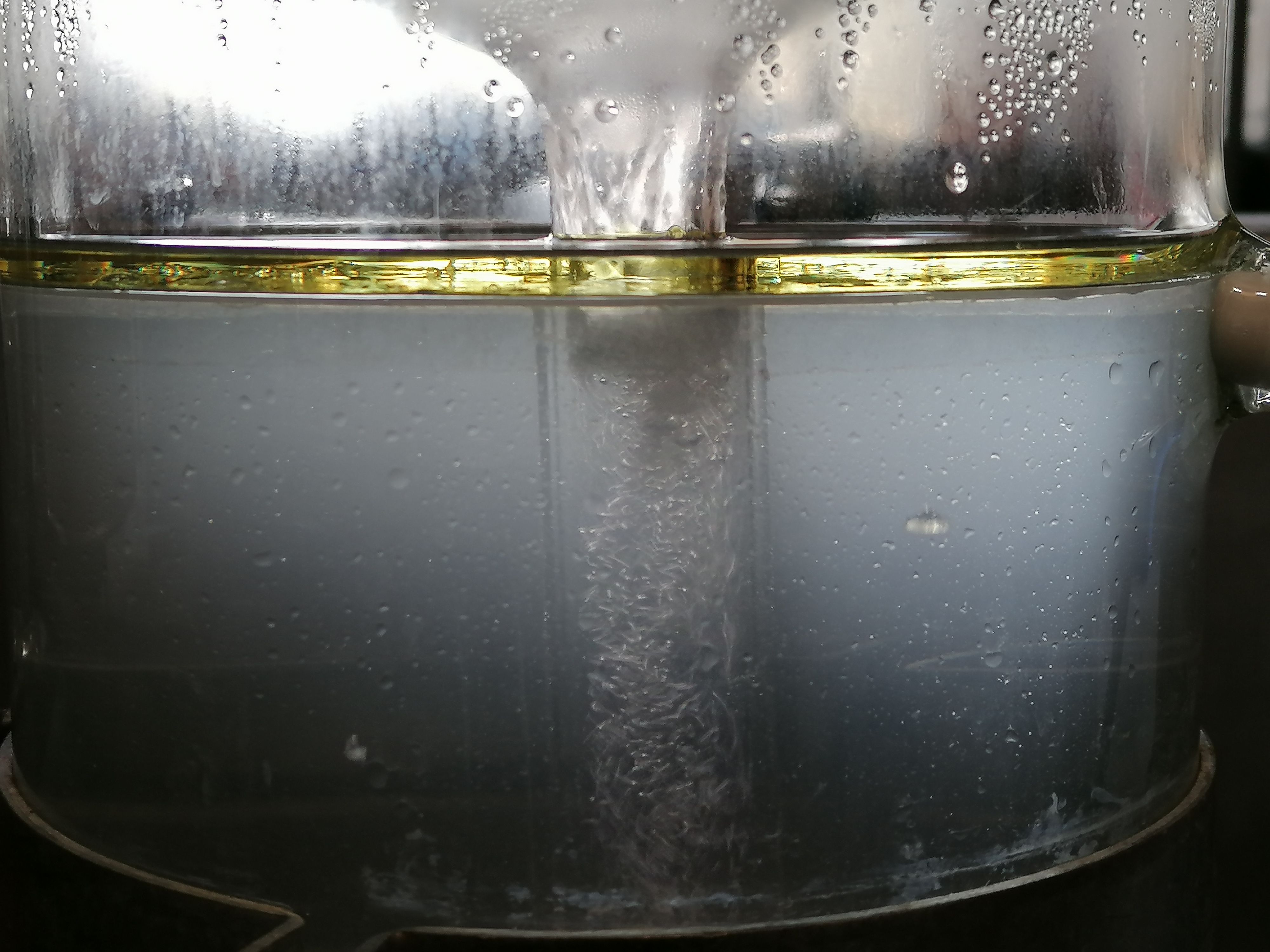 Decouvrez la distillation Ätherisches Öl aus Schwarzer Johannisbeere aus Burgund 100% Bio und handwerklich hergestellt