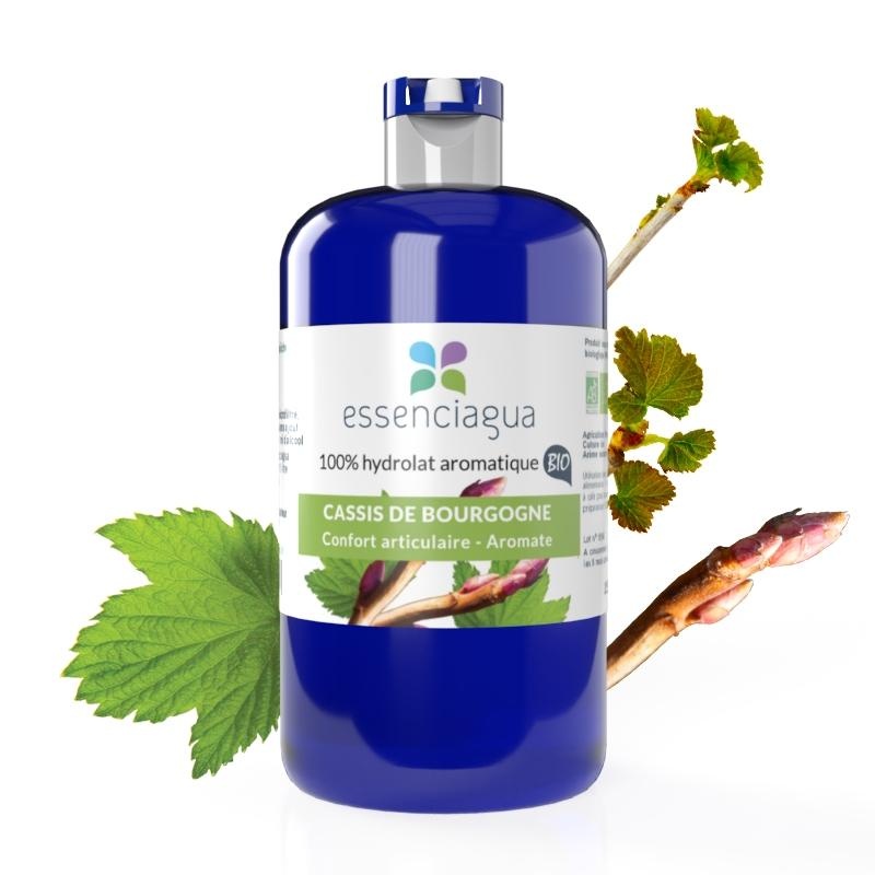 Hydrolat der Schwarzen Johannisbeere aus Burgund 100% biologisch und handwerklich hergestellt