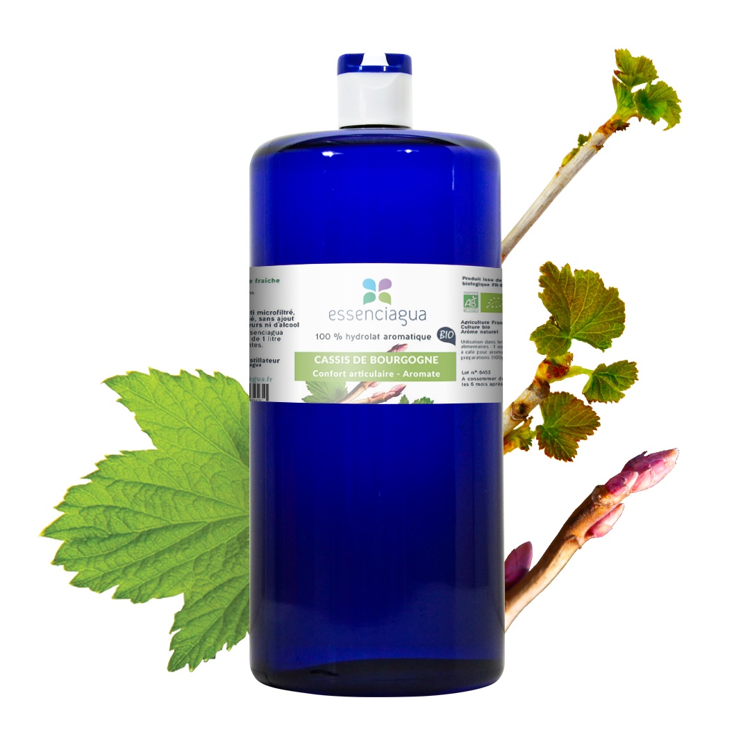 Hydrolat der Schwarzen Johannisbeere aus Burgund 100% biologisch und handwerklich hergestellt — photo 3