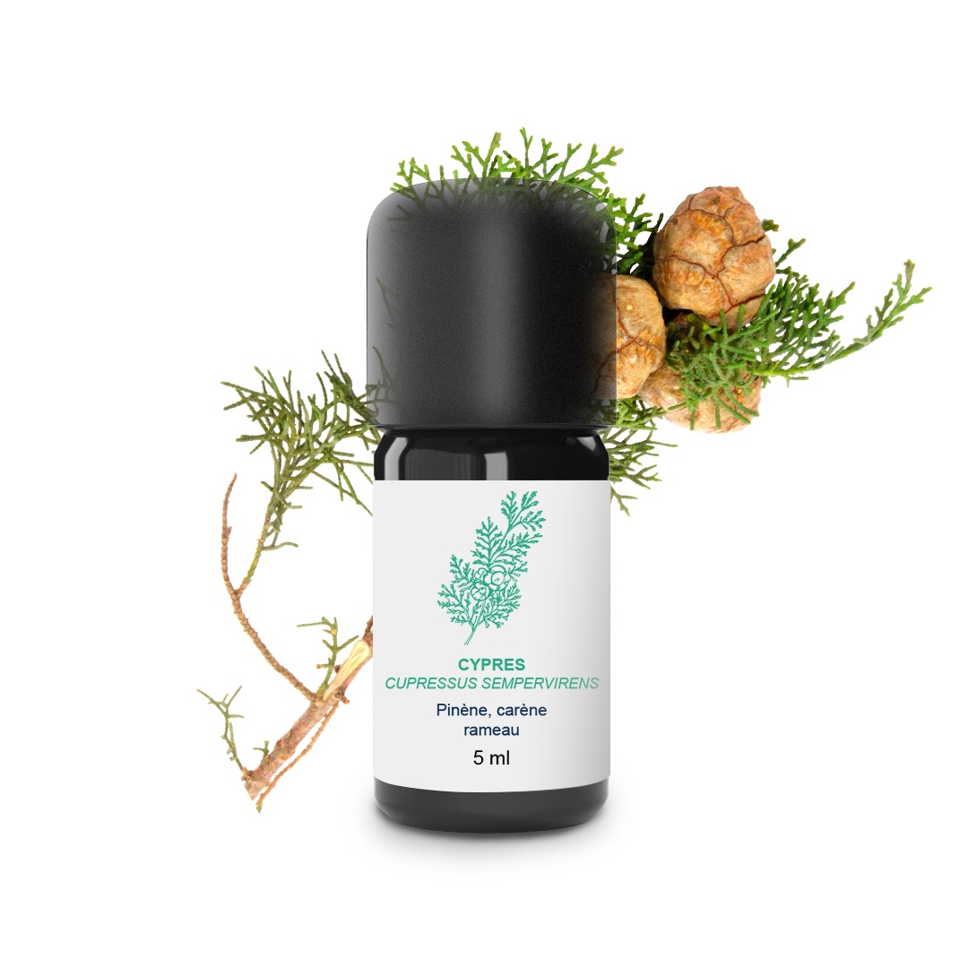 Ätherisches Zypressenöl 100% Bio und handwerklich hergestellt