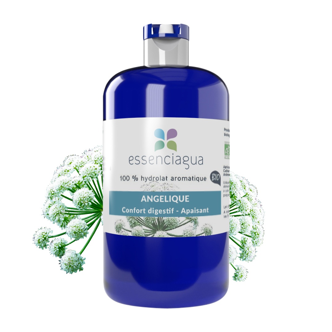 Angelikawurzel-Hydrolat 100% Bio und handwerklich hergestellt