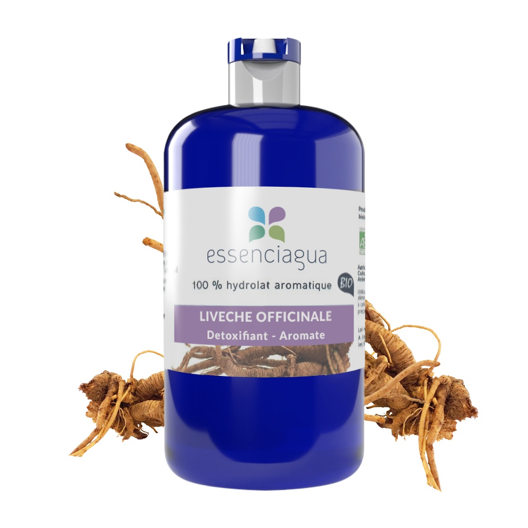 Liebstöckelhydrolat (Wurzel) 100% Bio und handwerklich hergestellt