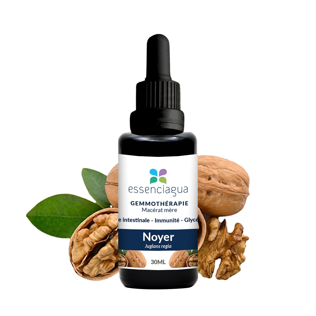 Bio Walnussbaum Knospenmazerat 100% Bio und Handgemacht