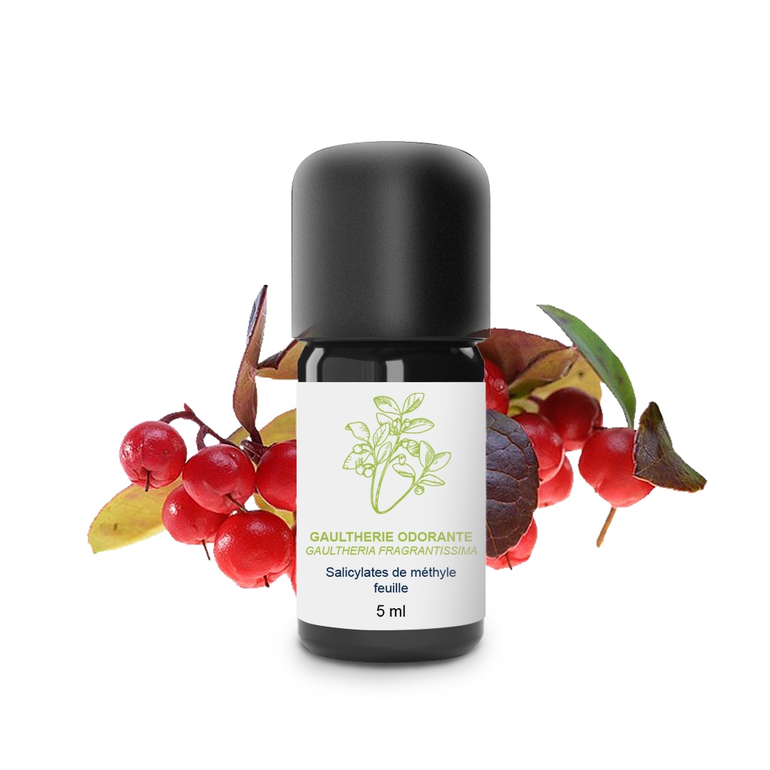 Ätherisches Öl aus Wintergrün 100% Bio und handwerklich hergestellt