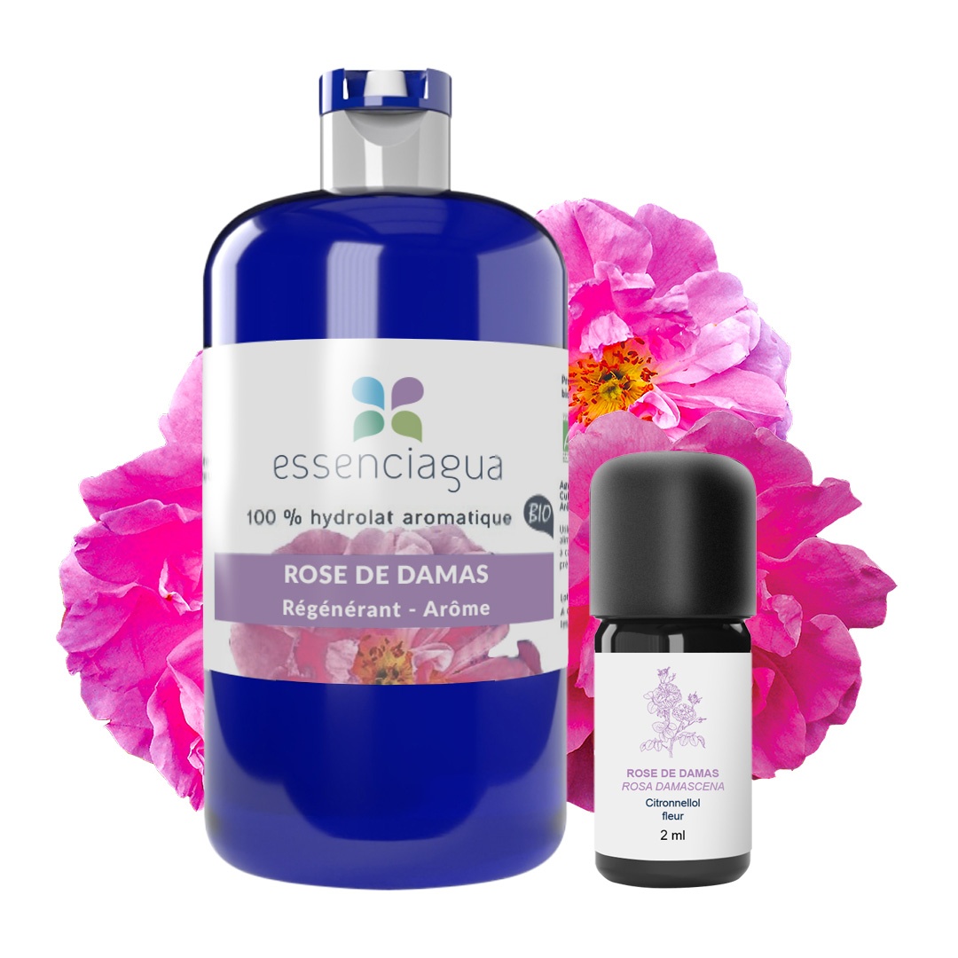 Kit der Rose