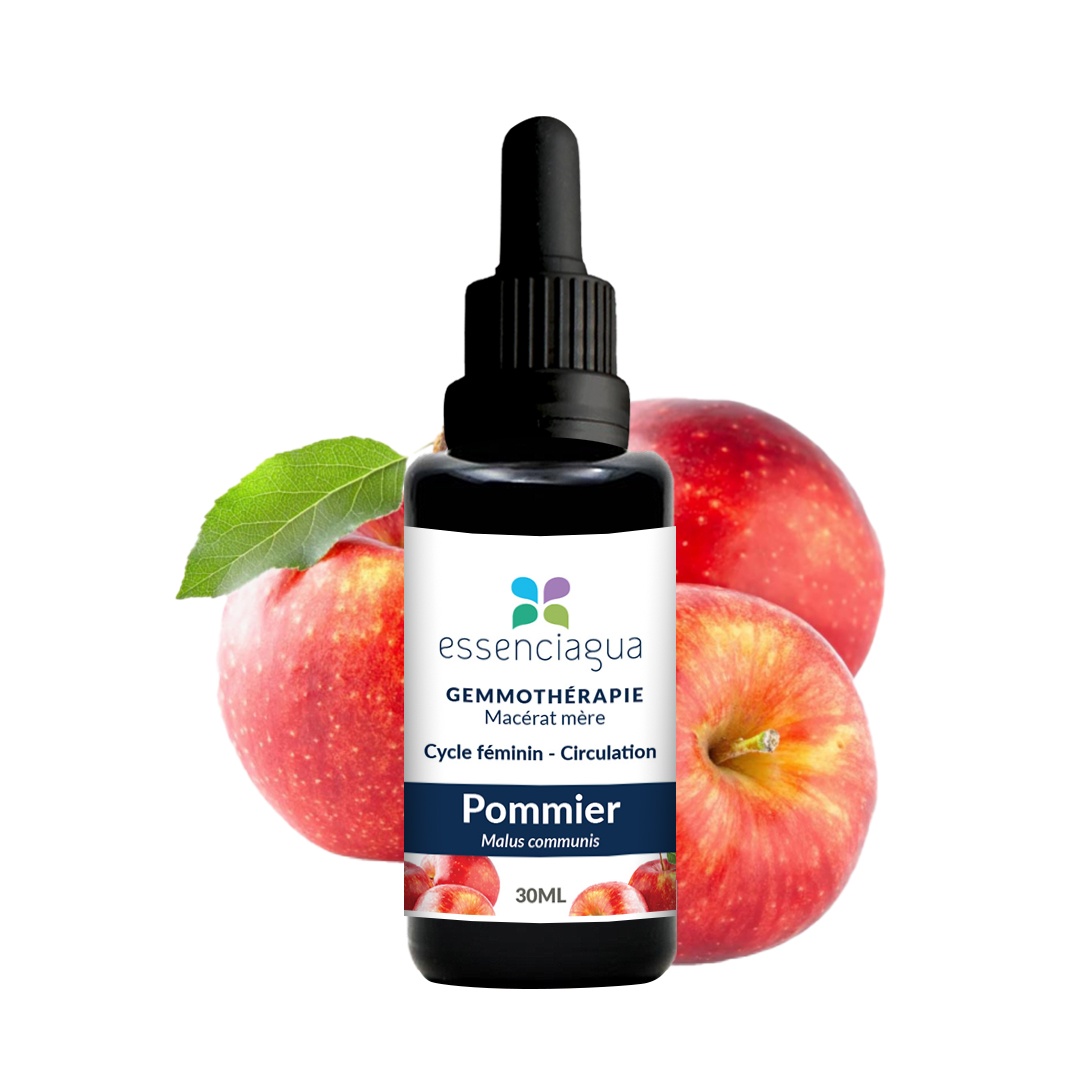 Bio Apfelbaum Knospenmazerat 100% Bio und Handgemacht