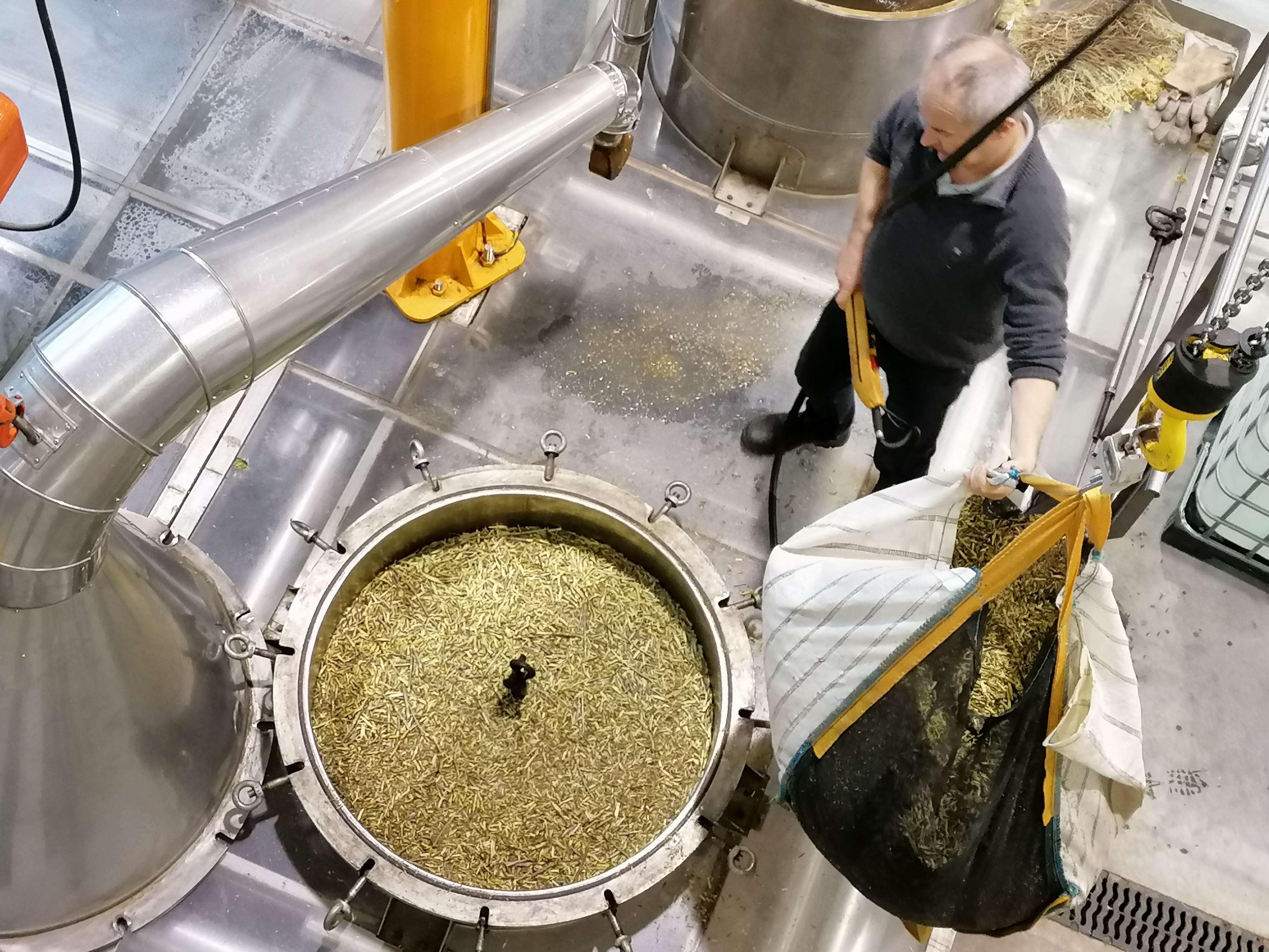 Decouvrez la distillation Ätherisches Öl aus Schwarzer Johannisbeere aus Burgund 100% Bio und handwerklich hergestellt