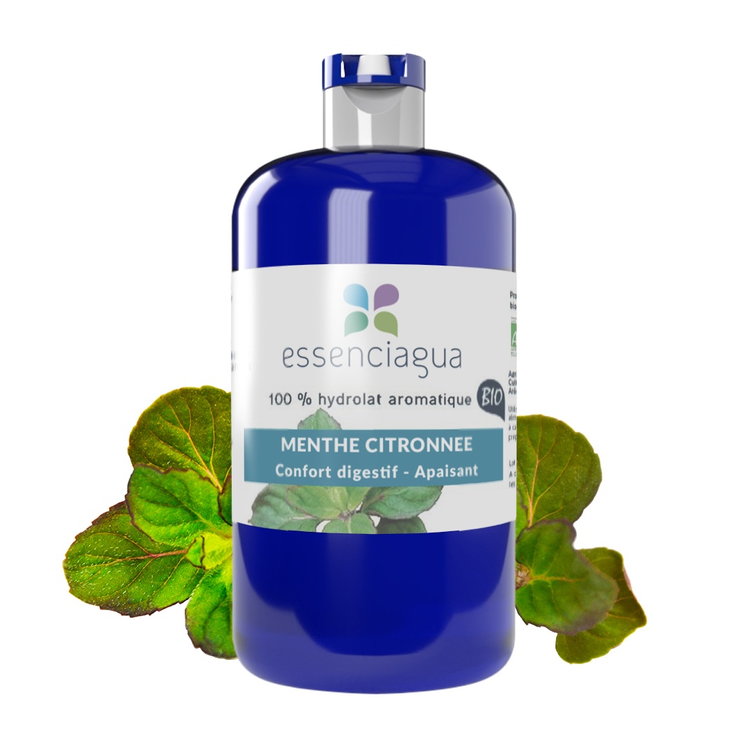 Zitronenminzhydrolat 100% Bio und handwerklich hergestellt