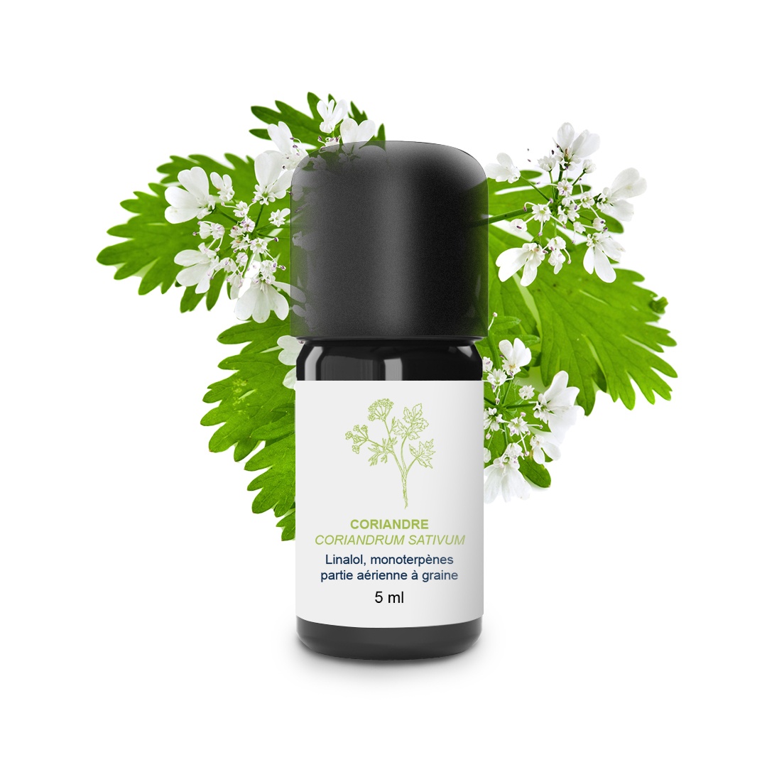 Ätherisches Korianderöl (Samen) 100% Bio und handwerklich hergestellt