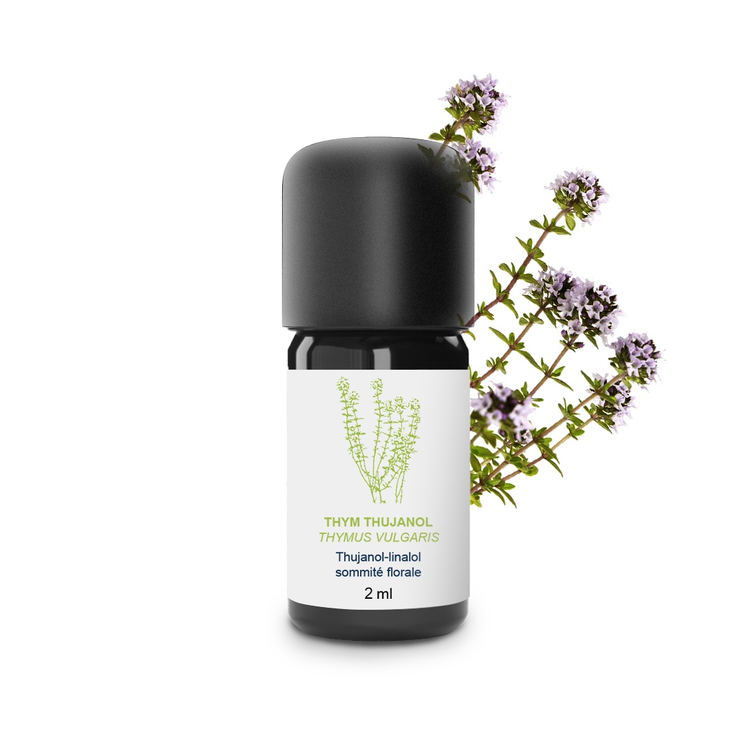 Ätherisches Thujanol-Thymianöl 100% Bio und handwerklich hergestellt