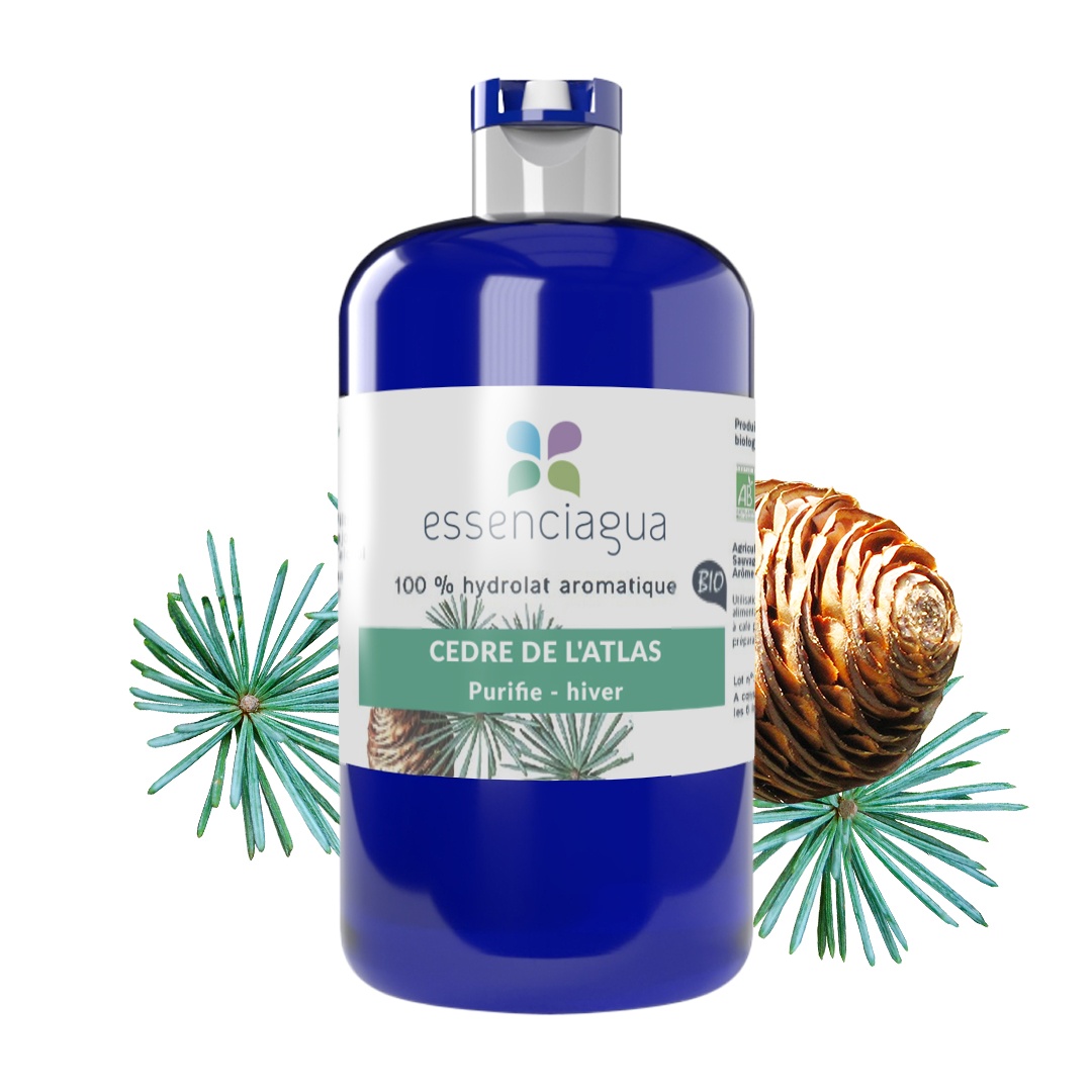 Hydrolat aus Atlaszeder 100% biologisch und handwerklich hergestellt