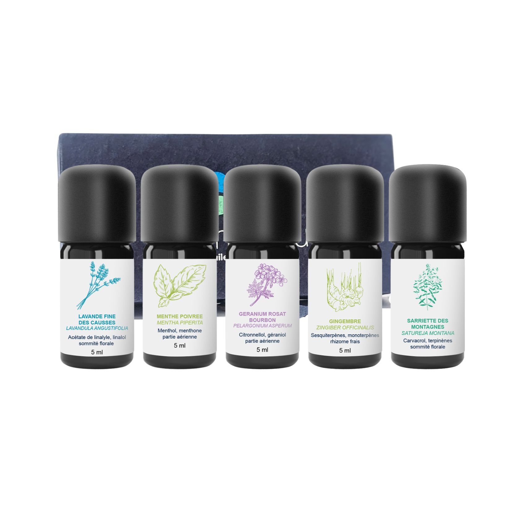Kit Ätherische Öle Bon Voyage 100% Bio und handwerklich hergestellt