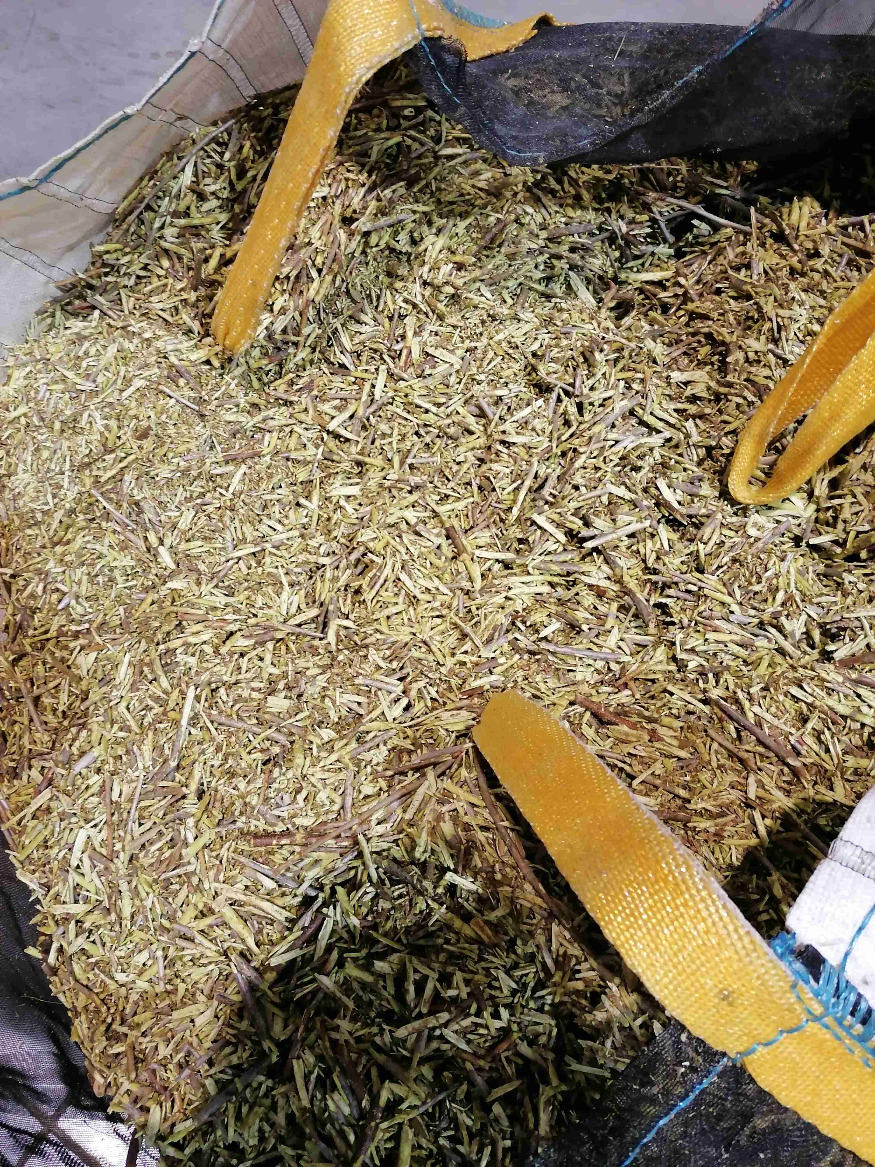 Decouvrez la distillation Ätherisches Öl aus Schwarzer Johannisbeere aus Burgund 100% Bio und handwerklich hergestellt