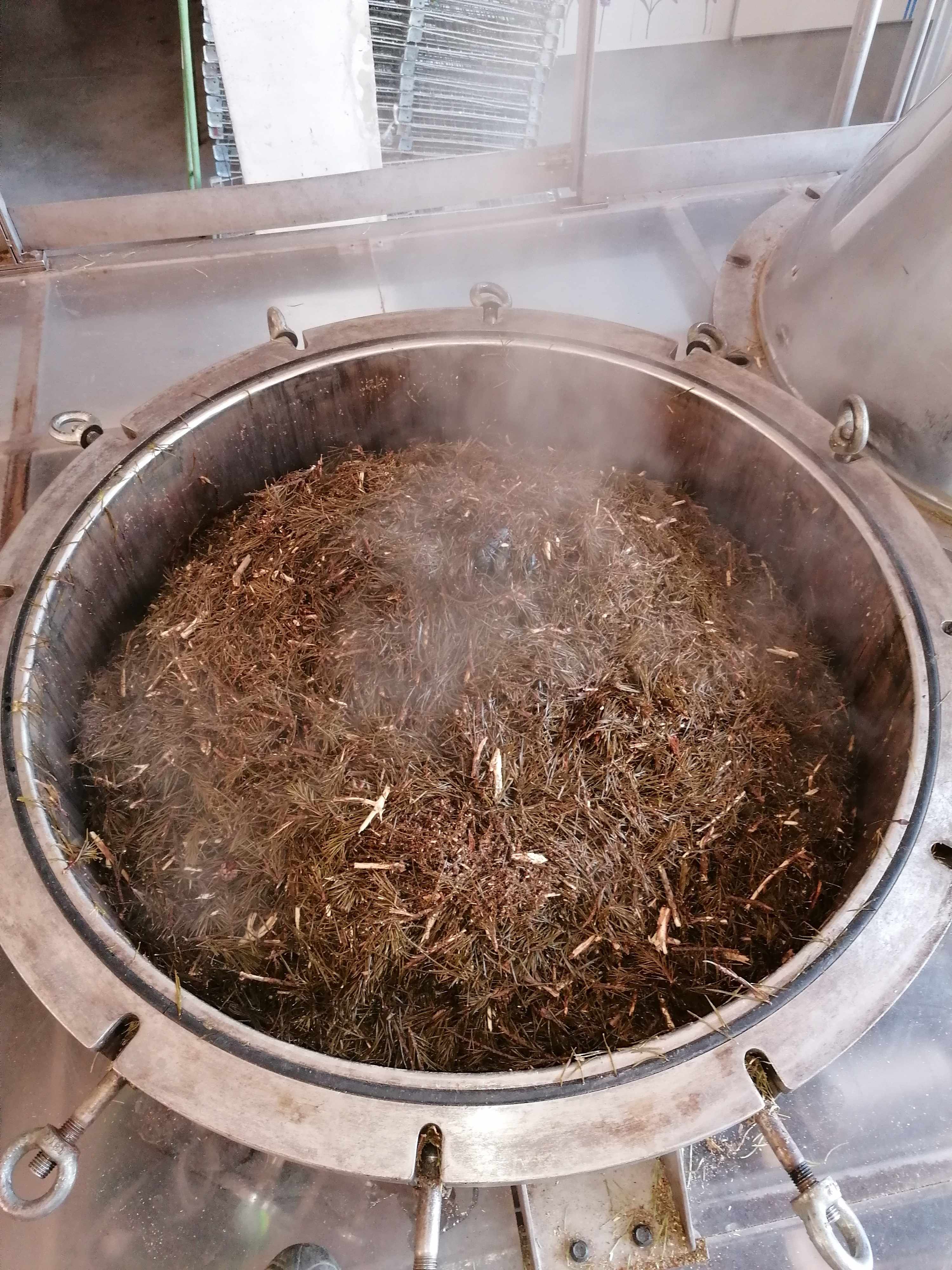 Die Destillation von Waldkiefer