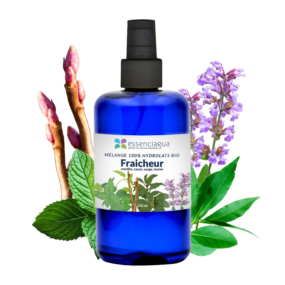 Aromatische Hydrolatmischung Frische
