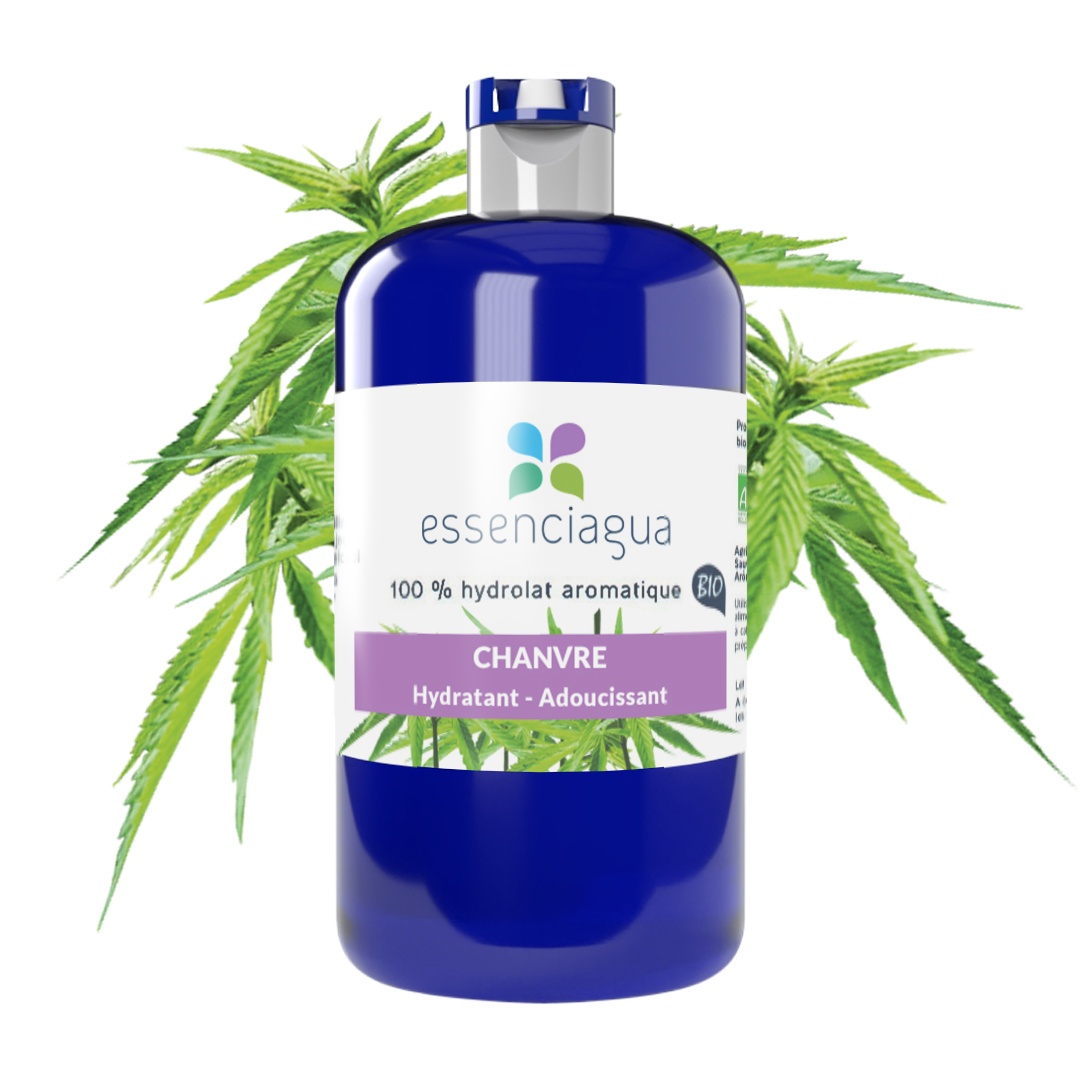 Hanf-Hydrolat 100% Bio und handwerklich hergestellt