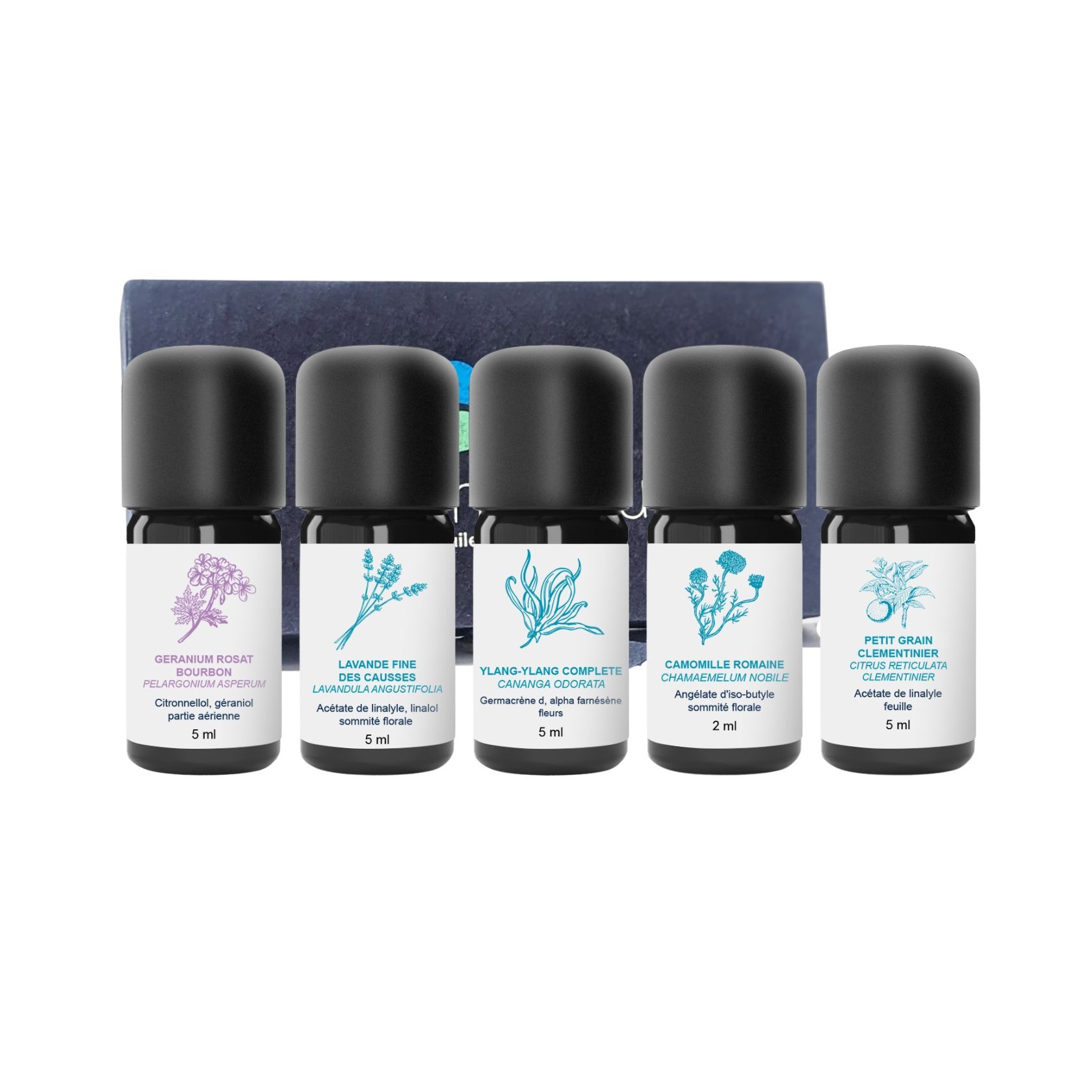Kit Ätherische Öle Cocooning 100% Bio und handwerklich hergestellt