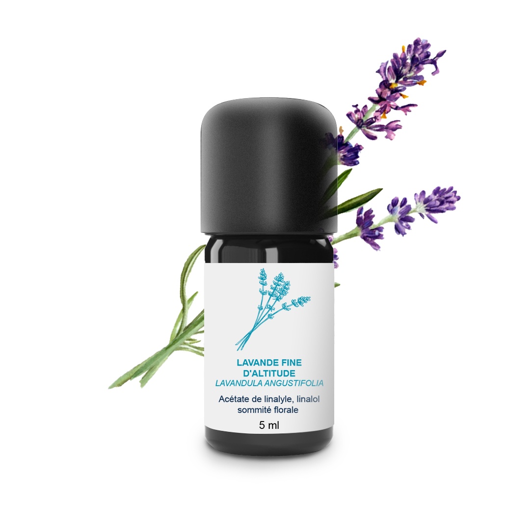 Ätherisches Öl aus feinem Lavendel aus Höhenlagen 100% Bio und handwerklich hergestellt
