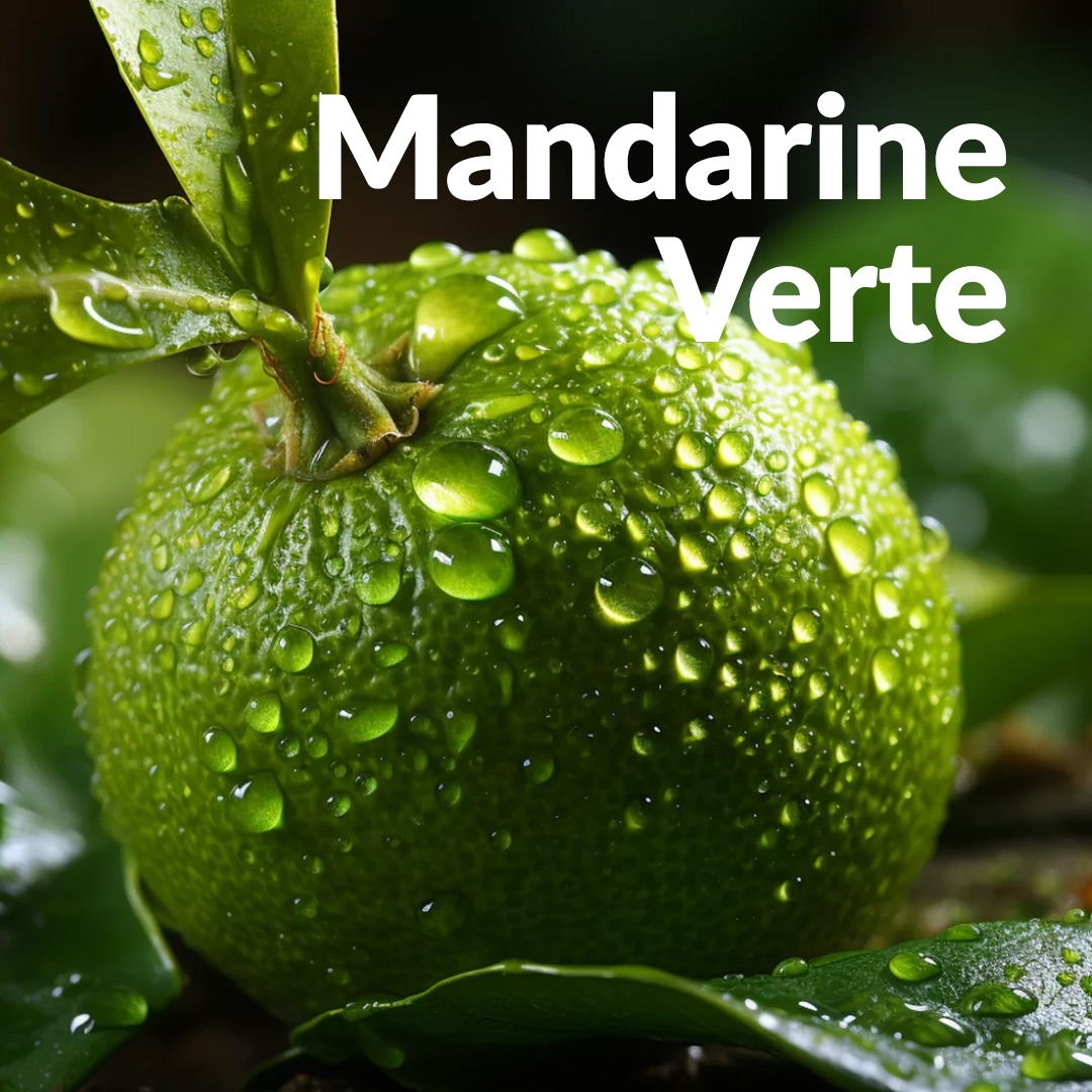 Grüne Mandarine