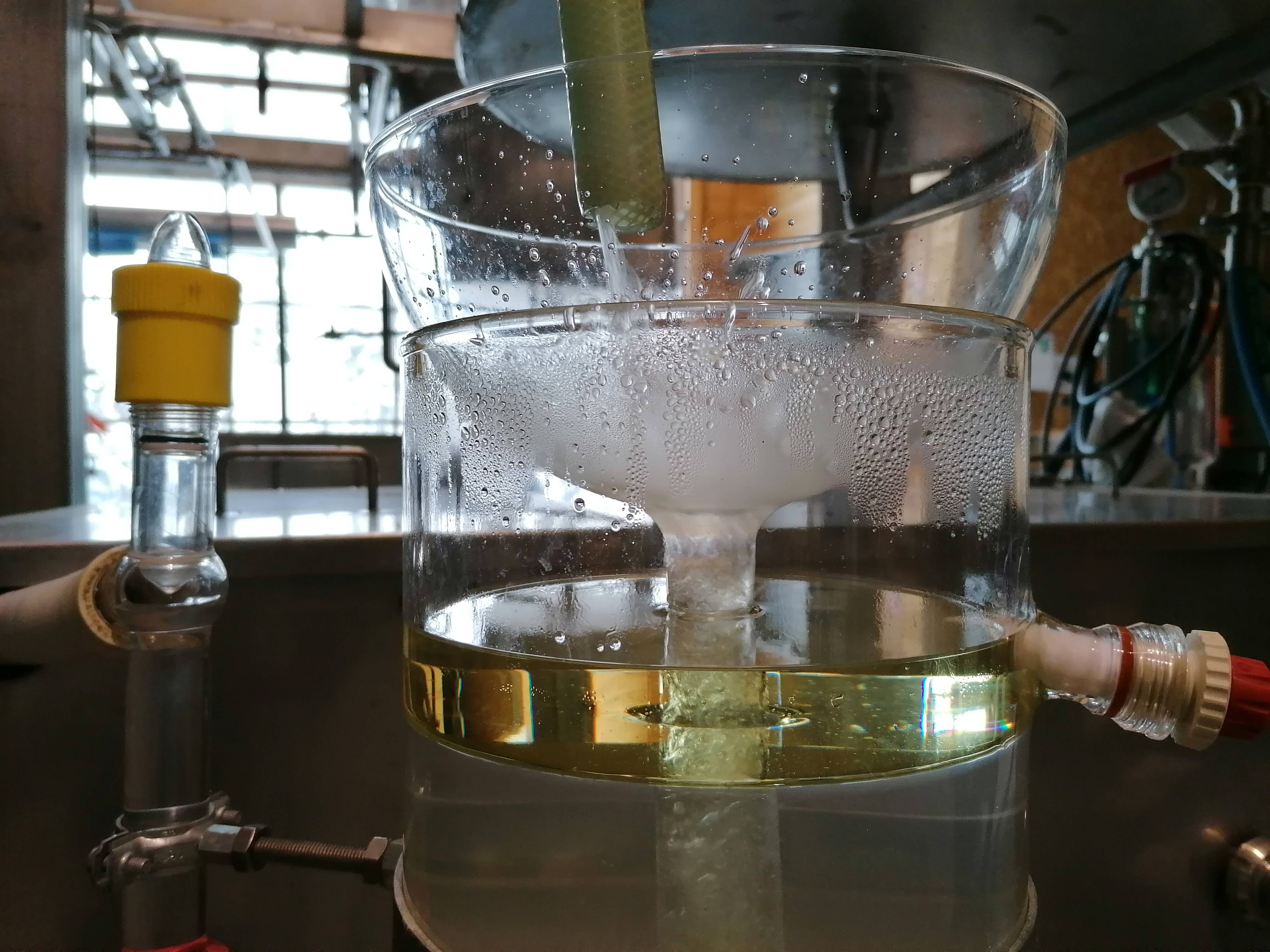 Decouvrez la distillation Angelikawurzel-Hydrolat 100% Bio und handwerklich hergestellt