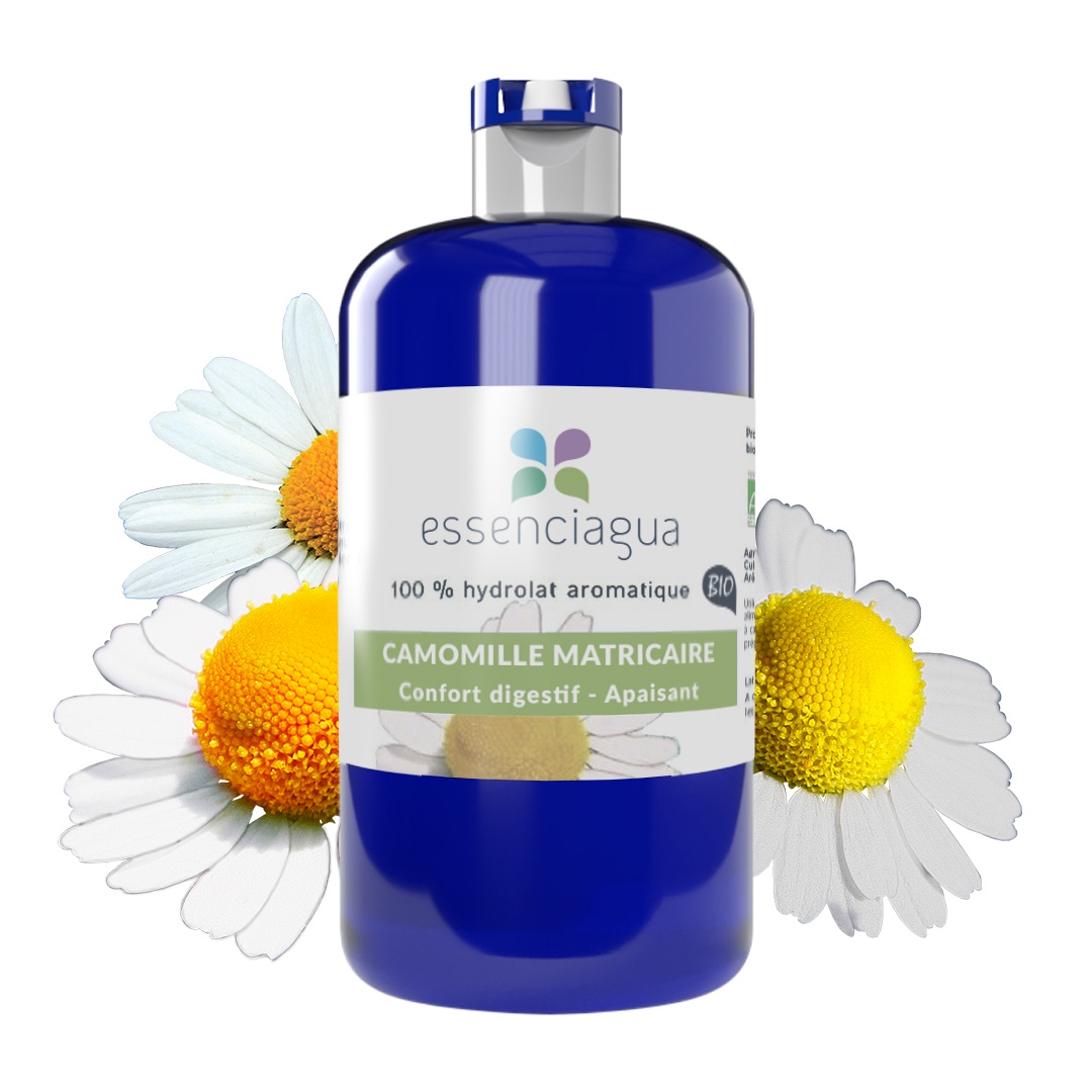 Hydrolat der Kamille Matricaire 100% Bio und handwerklich hergestellt