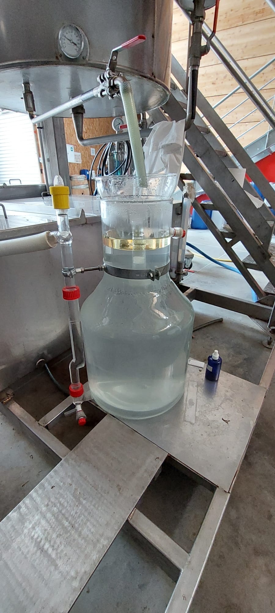 Decouvrez la distillation Angelikawurzel-Hydrolat 100% Bio und handwerklich hergestellt