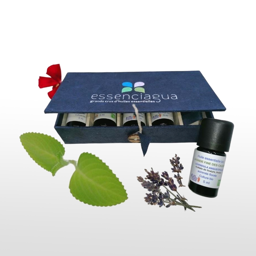 Aromatisches Reise-Set