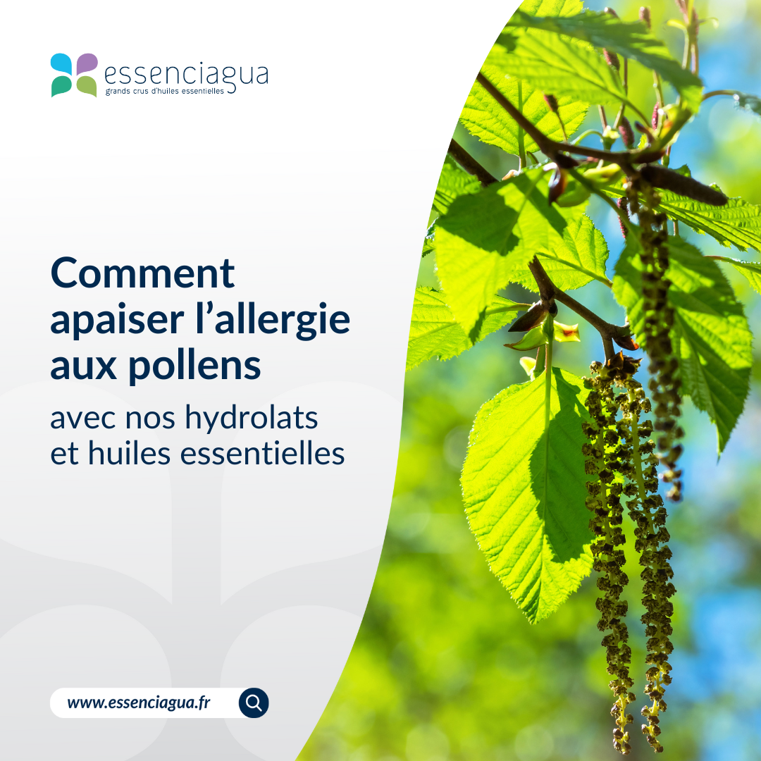 HA Anti-Allergie-Empfehlung