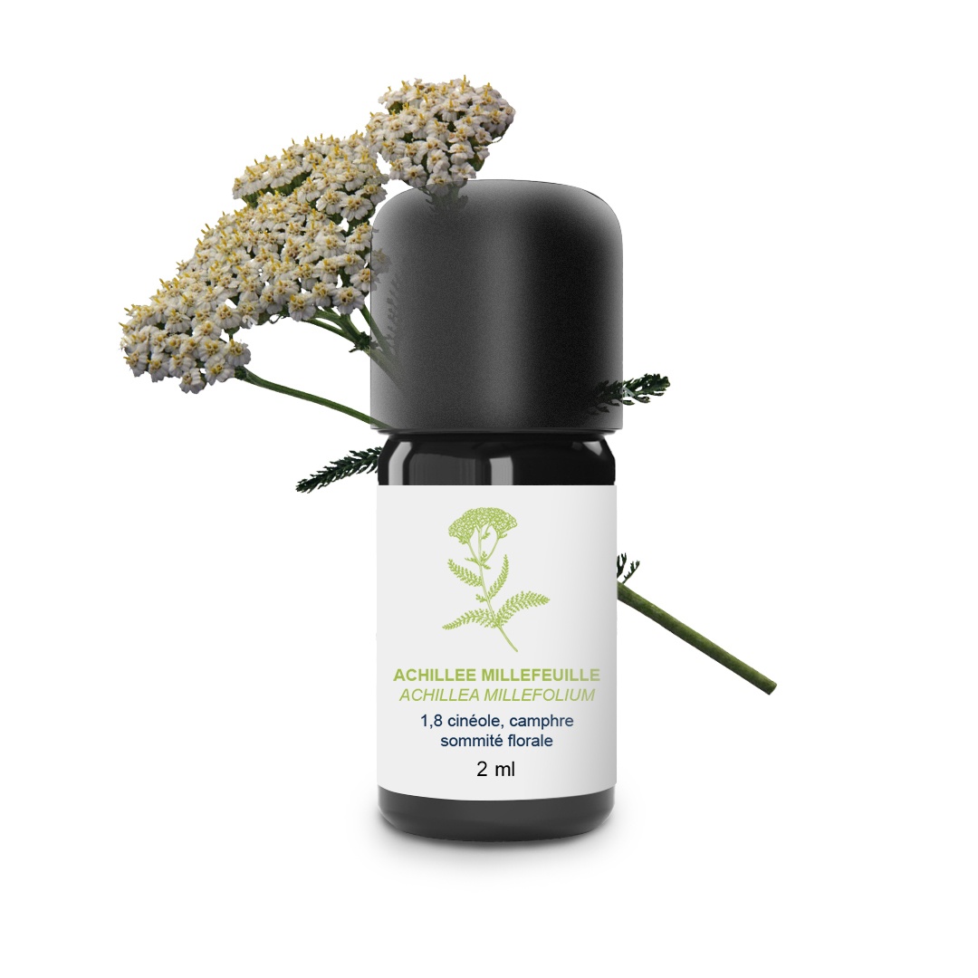 Ätherisches Schafgarbenöl 100% Bio und handwerklich hergestellt