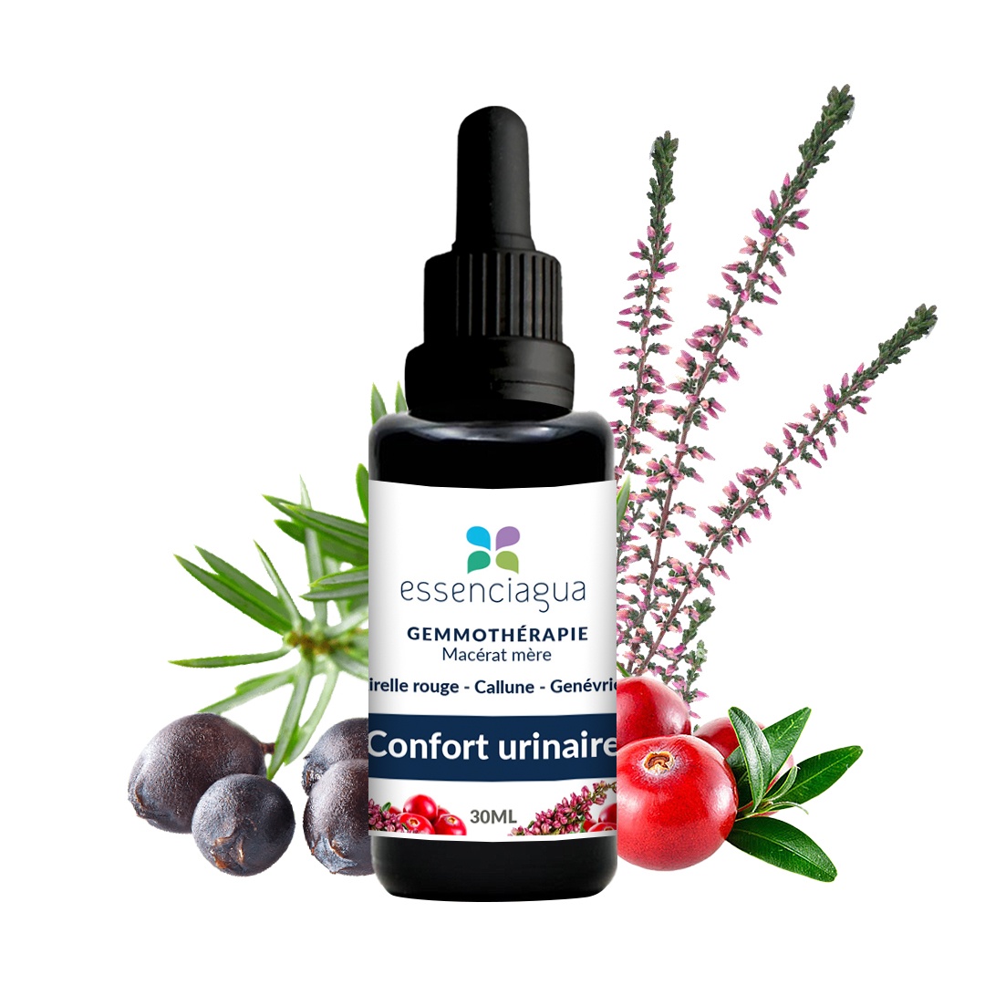 Bio-Knospen-Komplex Harnkomfort 100% Bio und handwerklich hergestellt