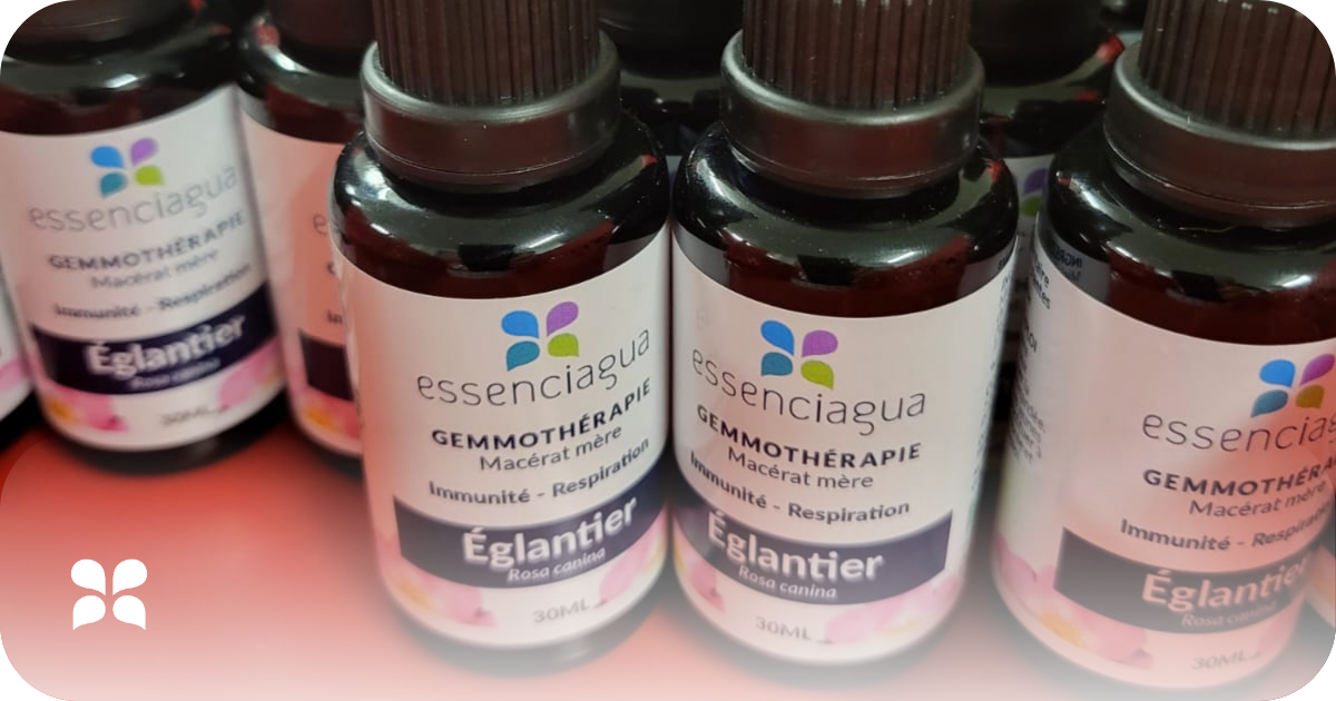 Gemmotherapie
