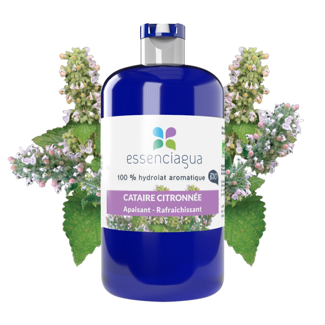 Hydrolat aus Zitronenmelisse 100% Bio und handwerklich hergestellt